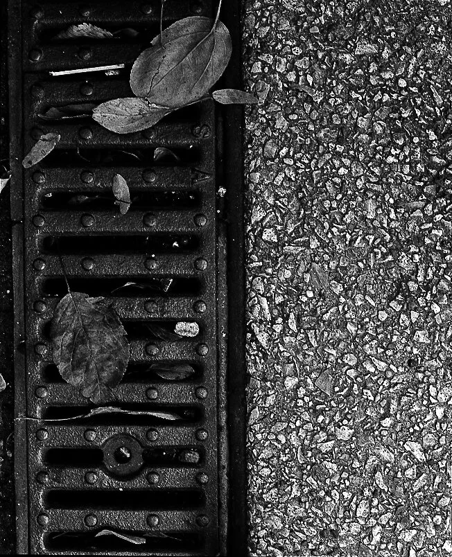 groundwork29-Edit.jpg