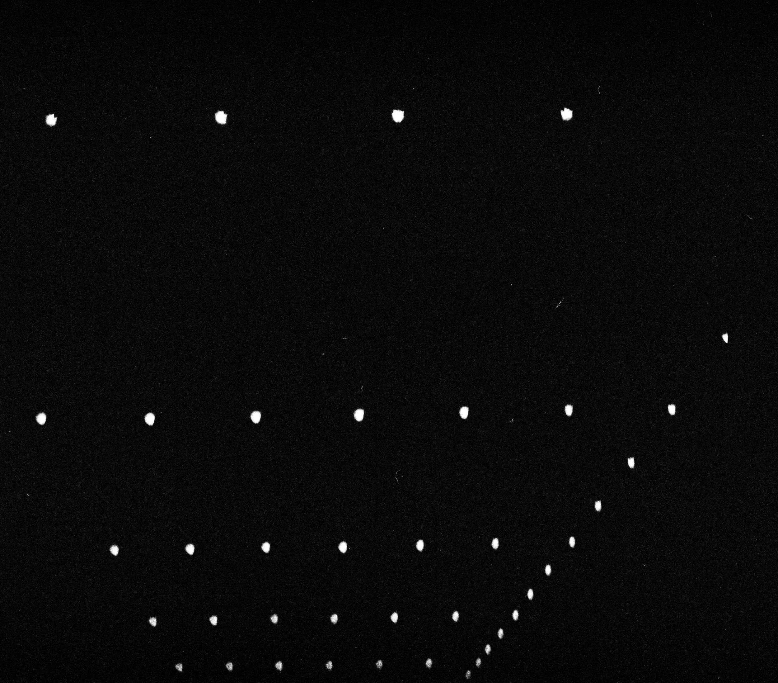 rows.jpg