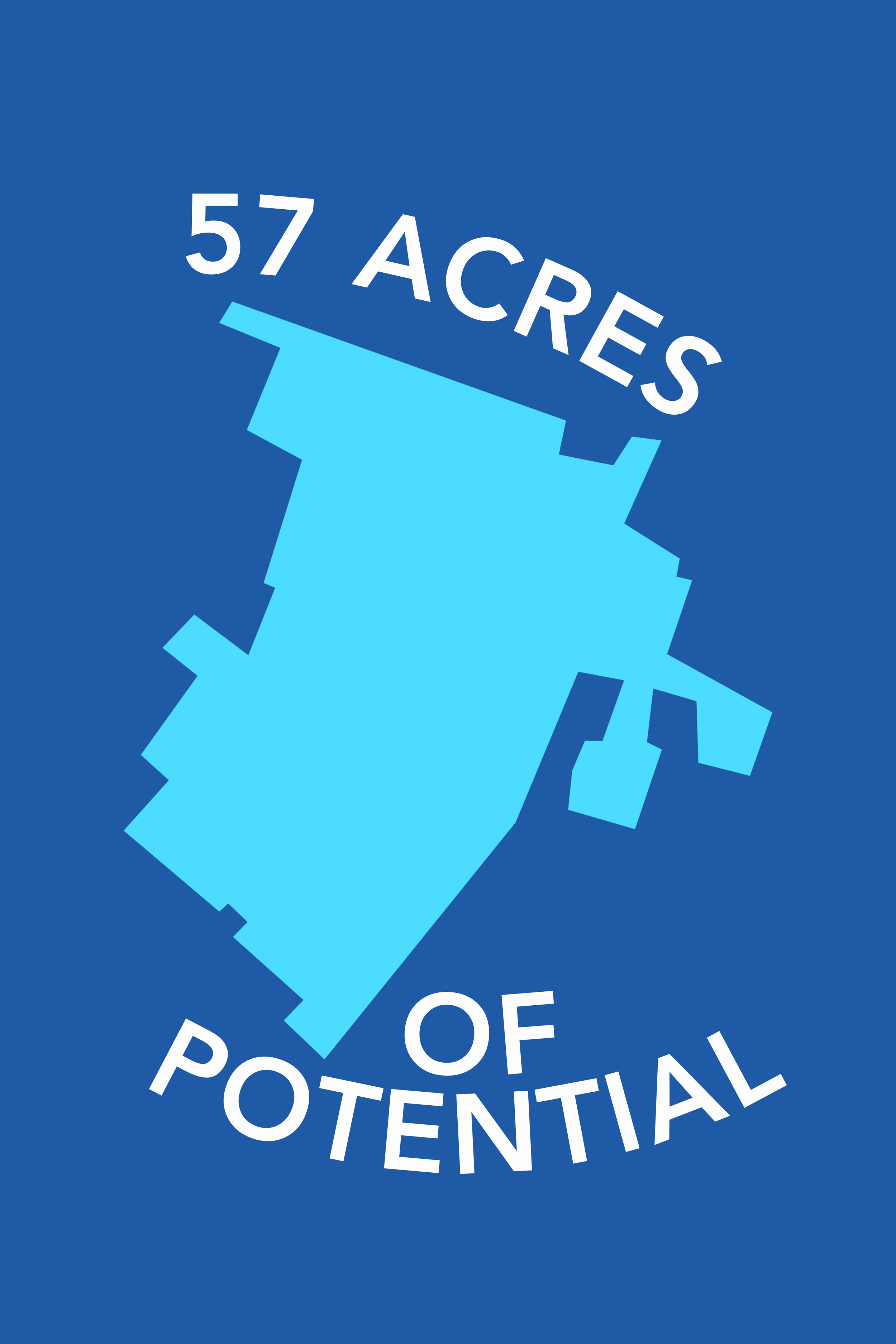 17.png