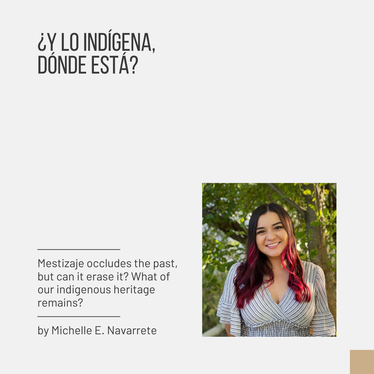 ¿Y lo indígeno, donde está.png