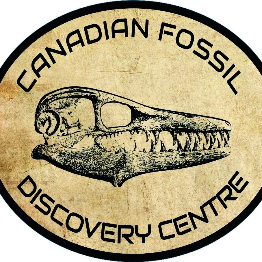 Activity Guide — to Morden, Manitoba