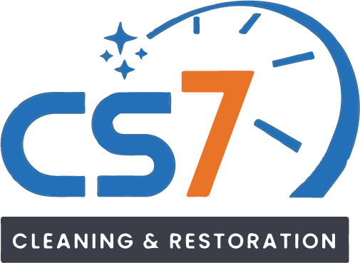 CS7 logo.png