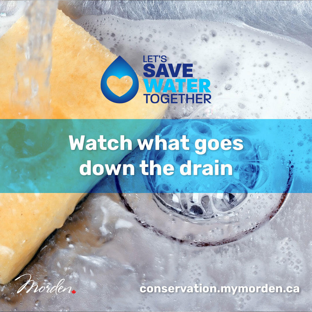 💧 Did you know that what goes down the drain can harm our waterways?

Discover the dangers of improper waste disposal, the impact on sewage plants, and the importance of eco-friendly alternatives. Dive in for a cleaner, greener future! 

💚 Visit ou