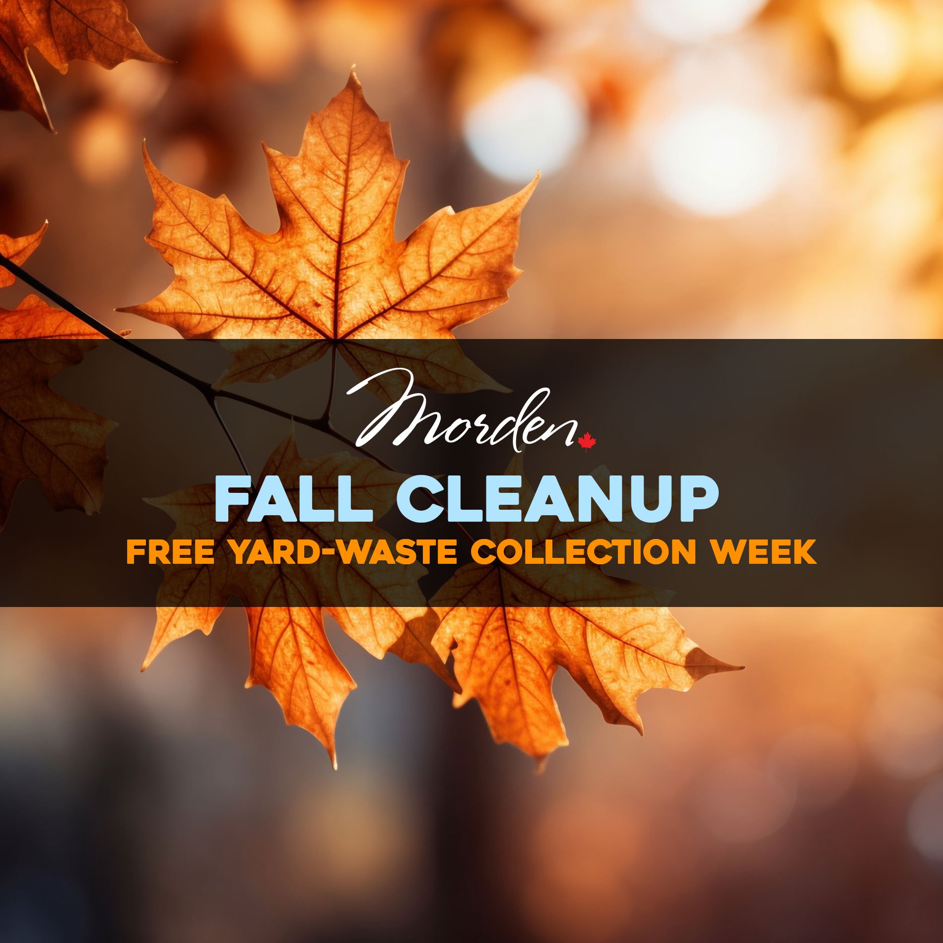 🍂 Fall Yard Pickup Week! 🍂

It's that time of year again! Get your yard ready for fall cleanup with our FREE yard waste collection service. Here&rsquo;s everything you need to know:

🗓 Schedule:
Zone 1: October 15, 2024
Zone 2: October 16, 2024
Zo