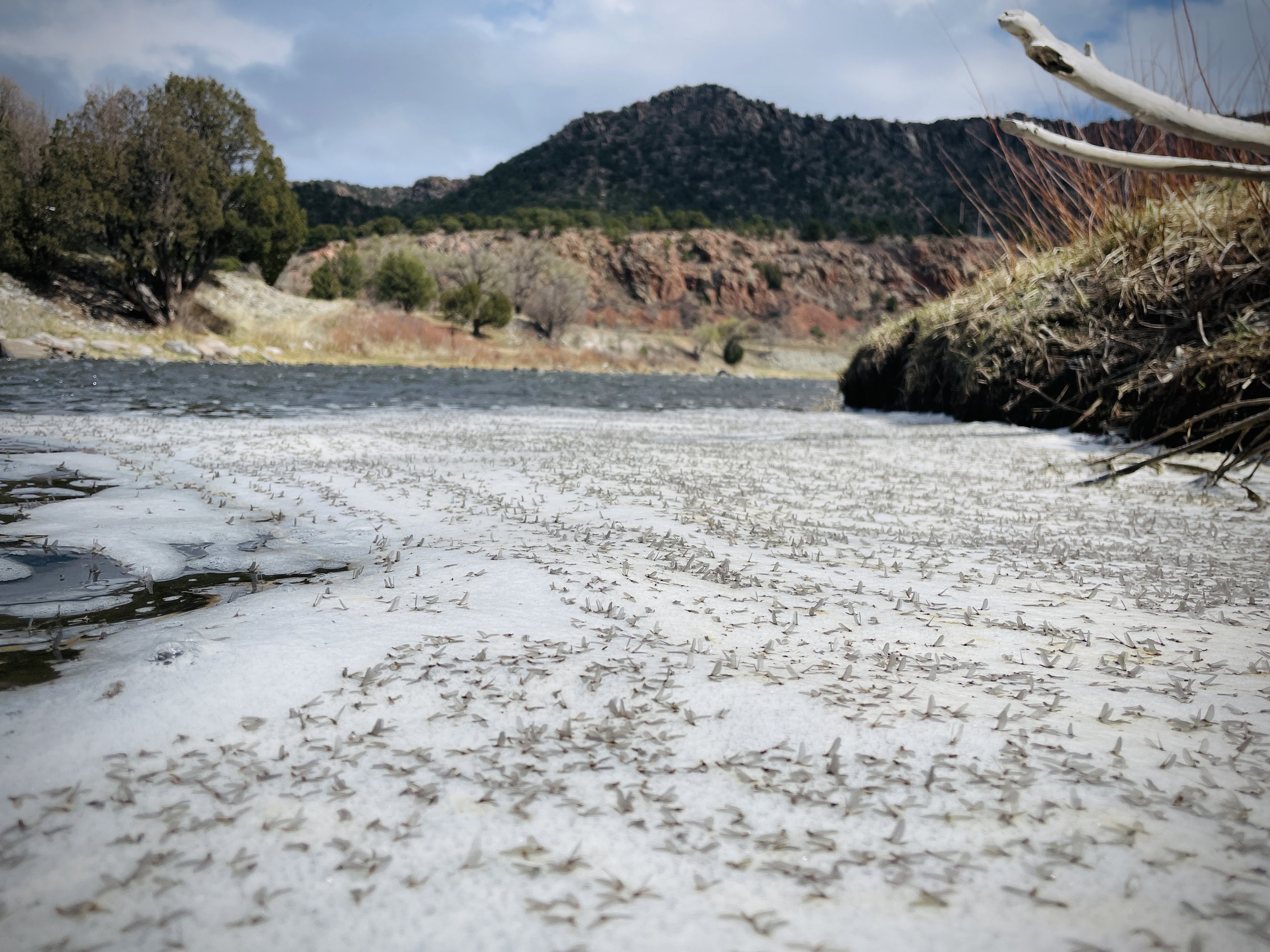 Amazing Fishing Continues