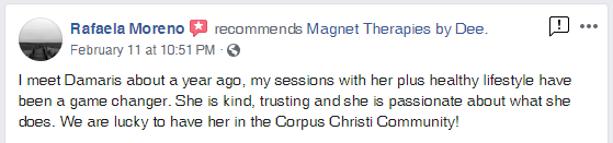 Review by Rafaela Moreno.PNG