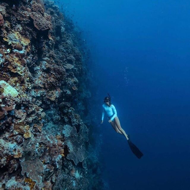 Cannot wait to do this again 🙏🏼 Repost from #paditv #ocean #thisiswhy #sailing #catamaran #bali #stuckaboveground