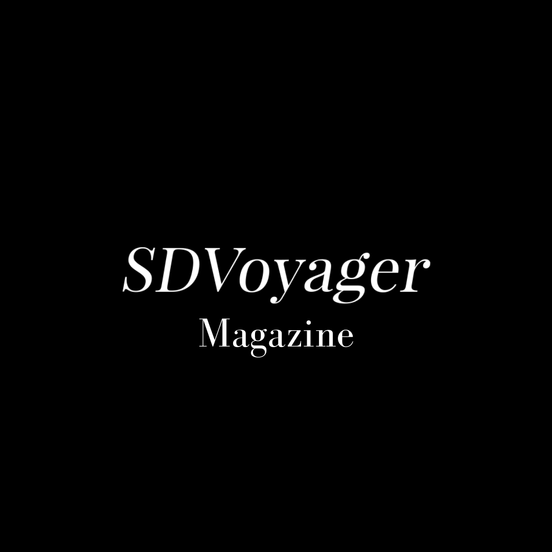 Meet Shamelle Reveter of Destiny’s Talent Institute of the Arts - SD Voyager Magazine
