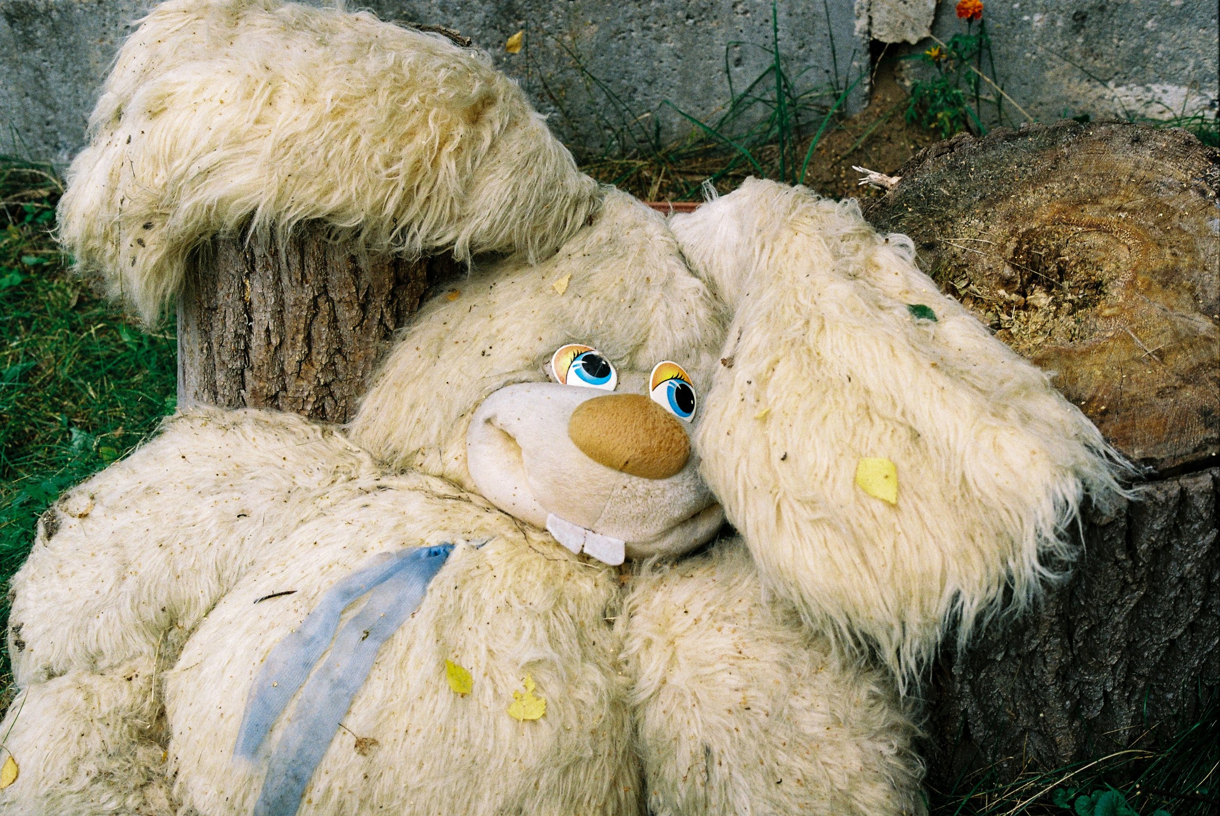 Loopyty - your childfriendly marketplace for pre-loved toys