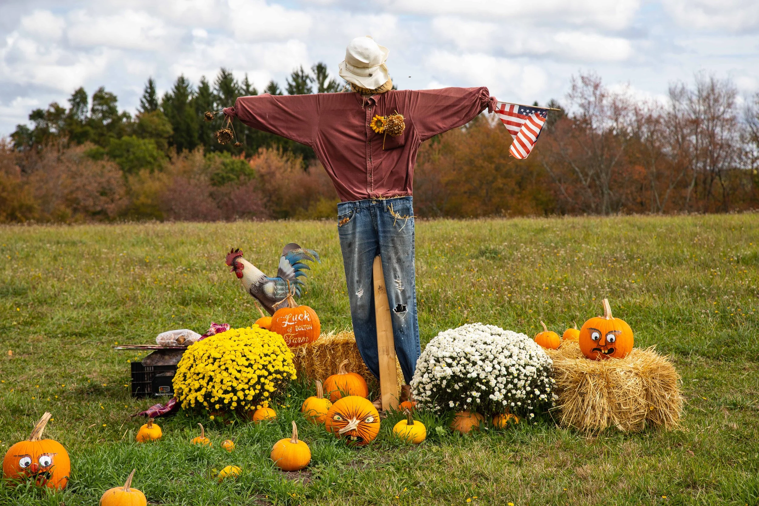 Scarecrow 2020