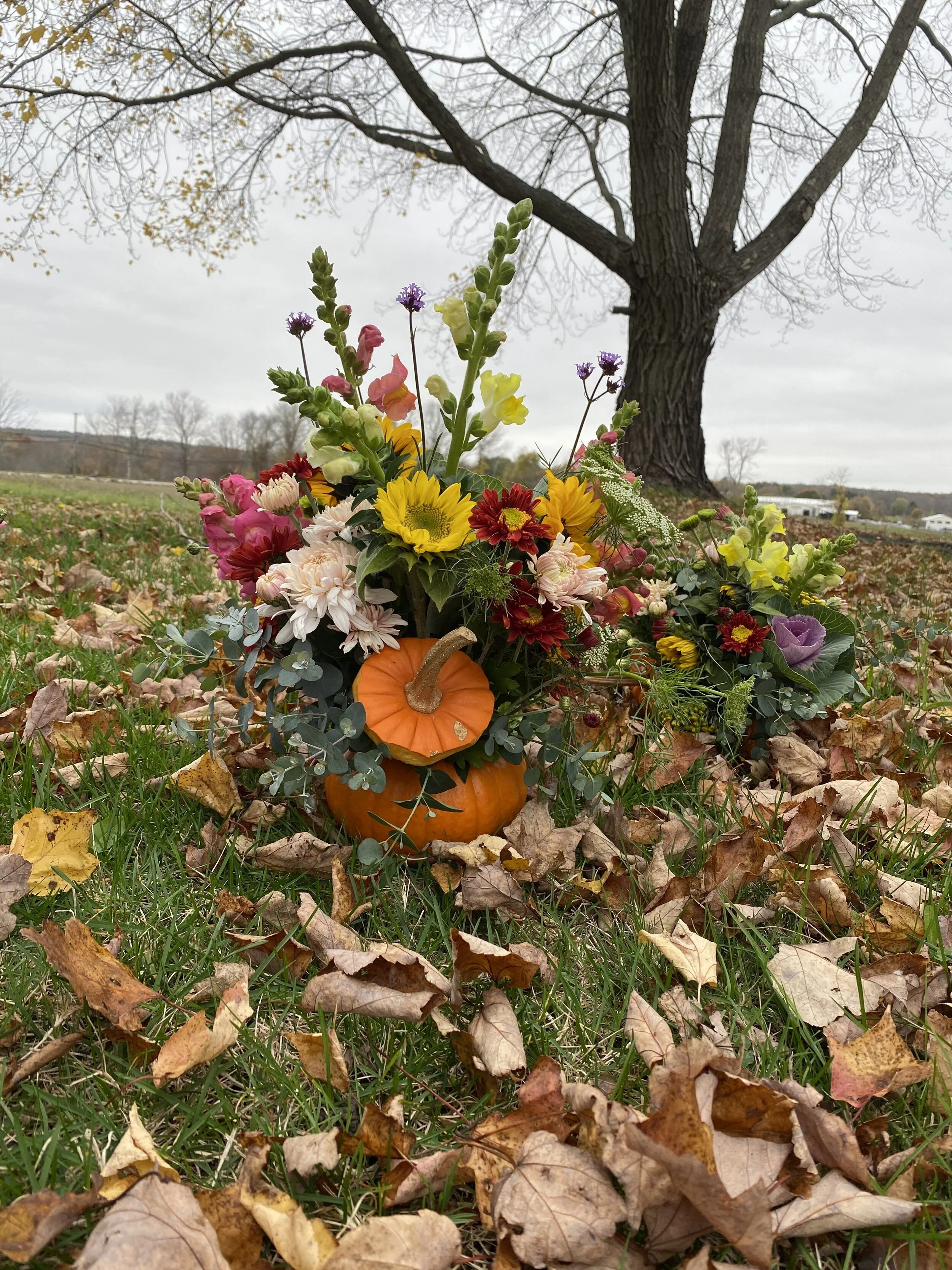 Fall Pumpkin Arrangment