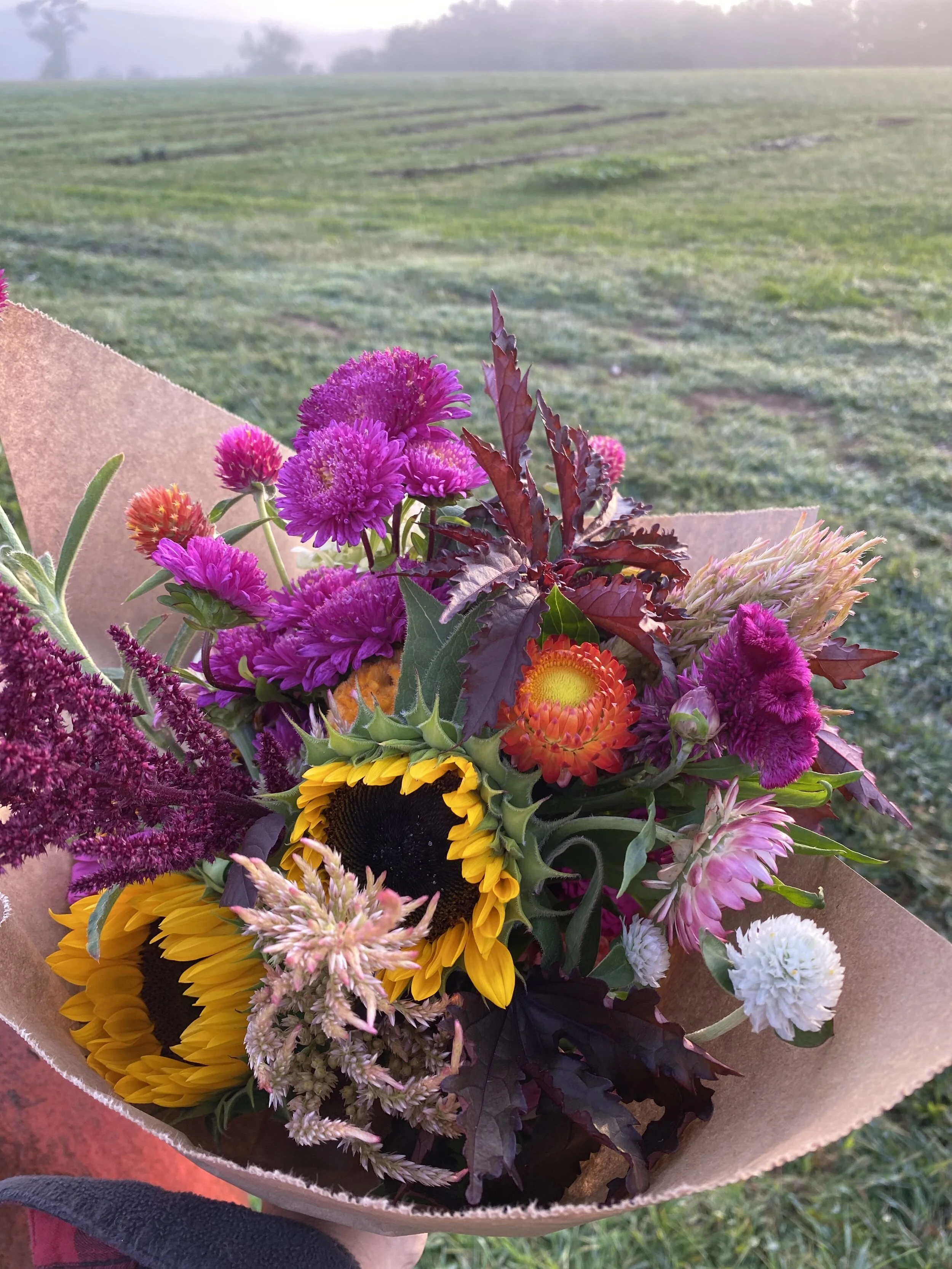 Early Fall Bouquet