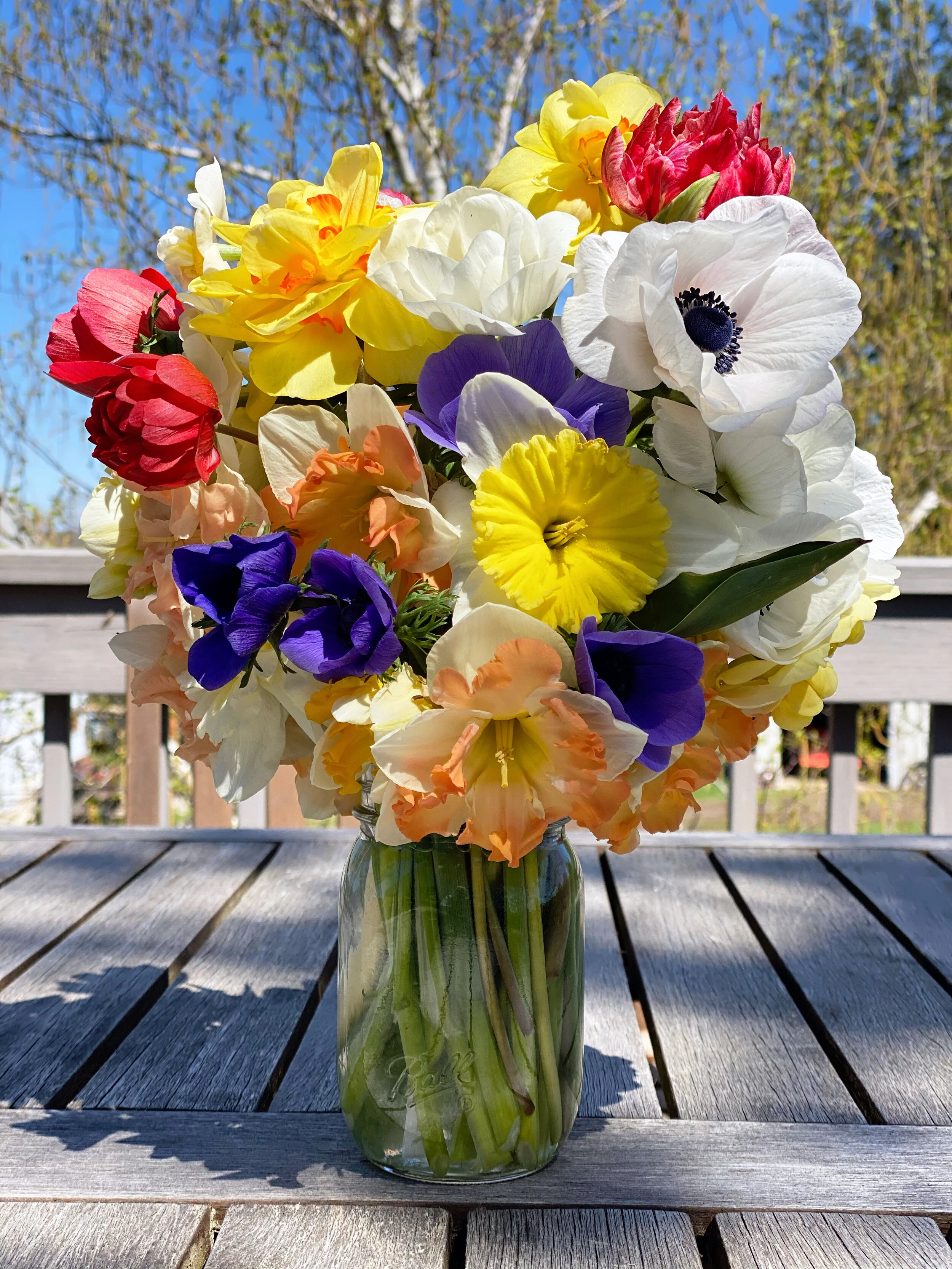 Spring Daffidol Jar