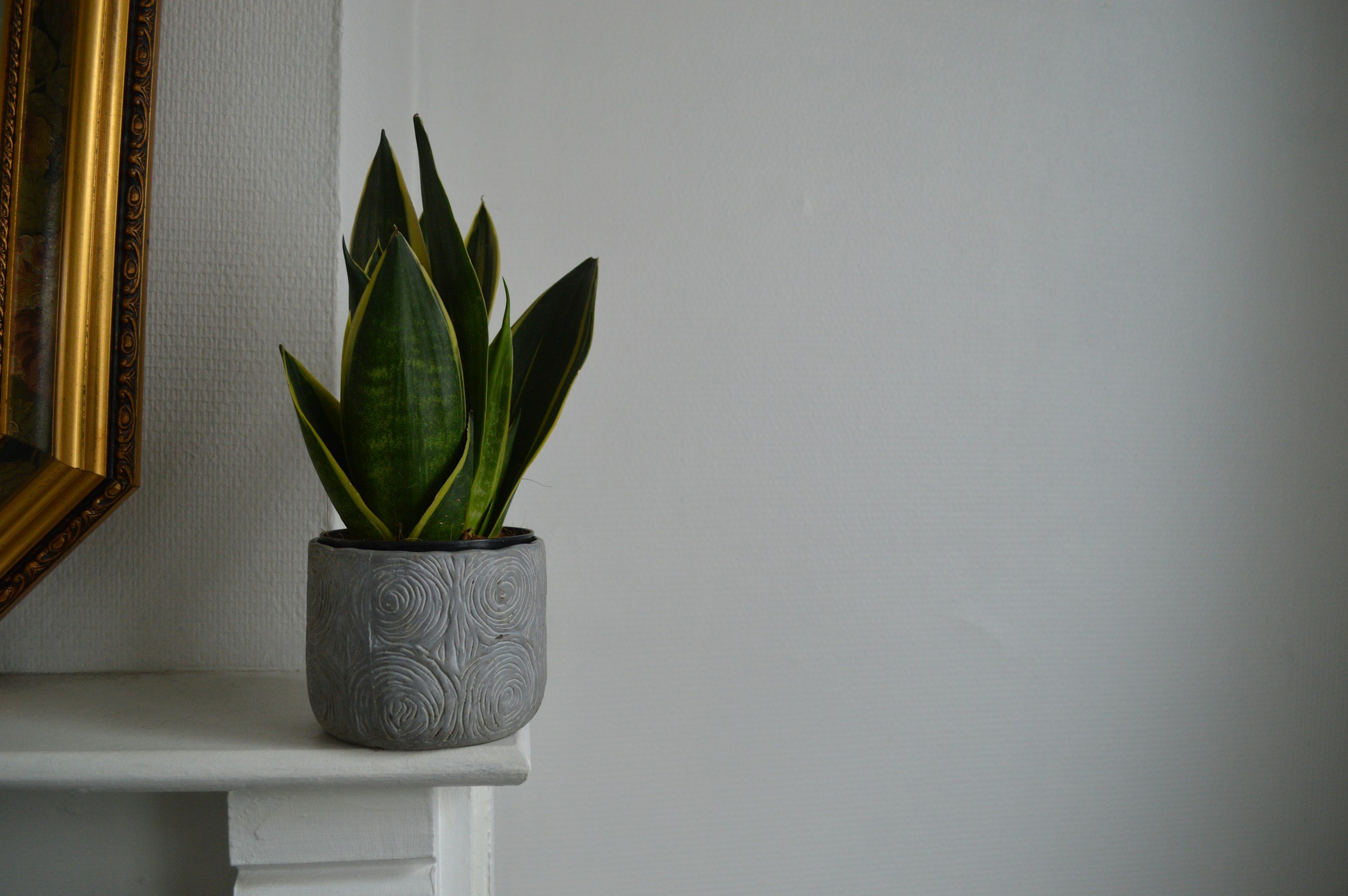 unsplash-image-gzu-etcMXKw.jpg