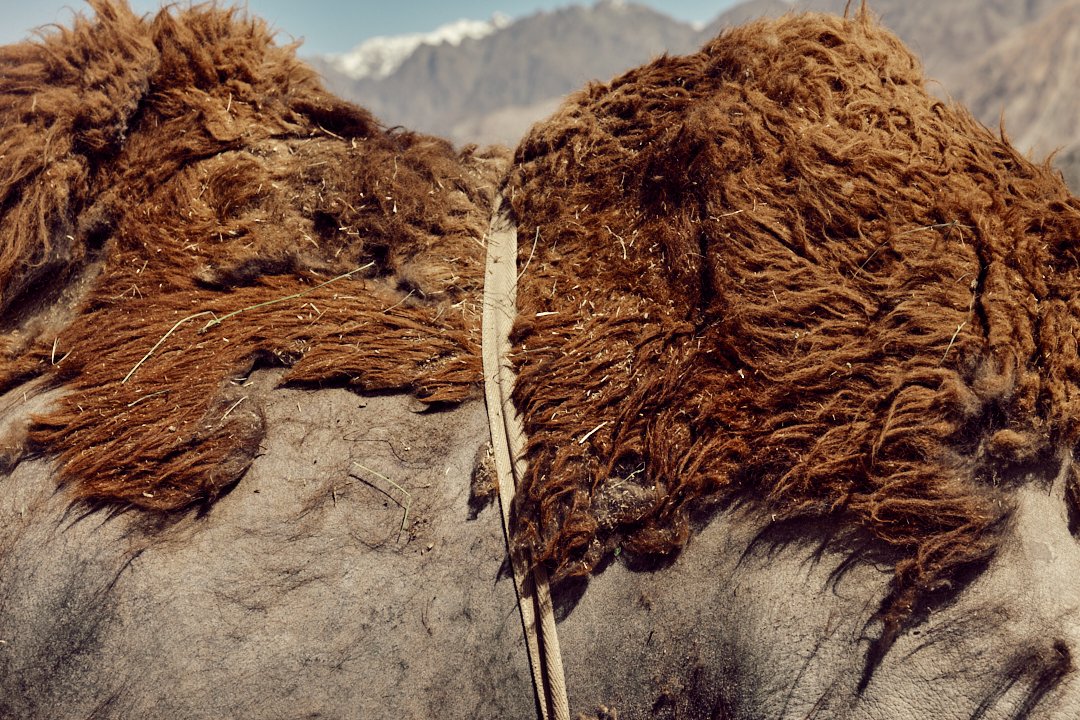 088A0374 nubra 2025 srgb 2.1.jpg