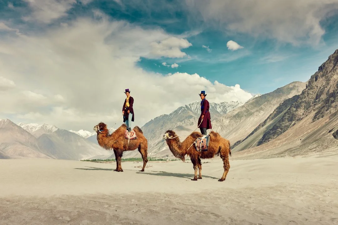 088A0994 nubra 2025 srgb 2.1.jpg