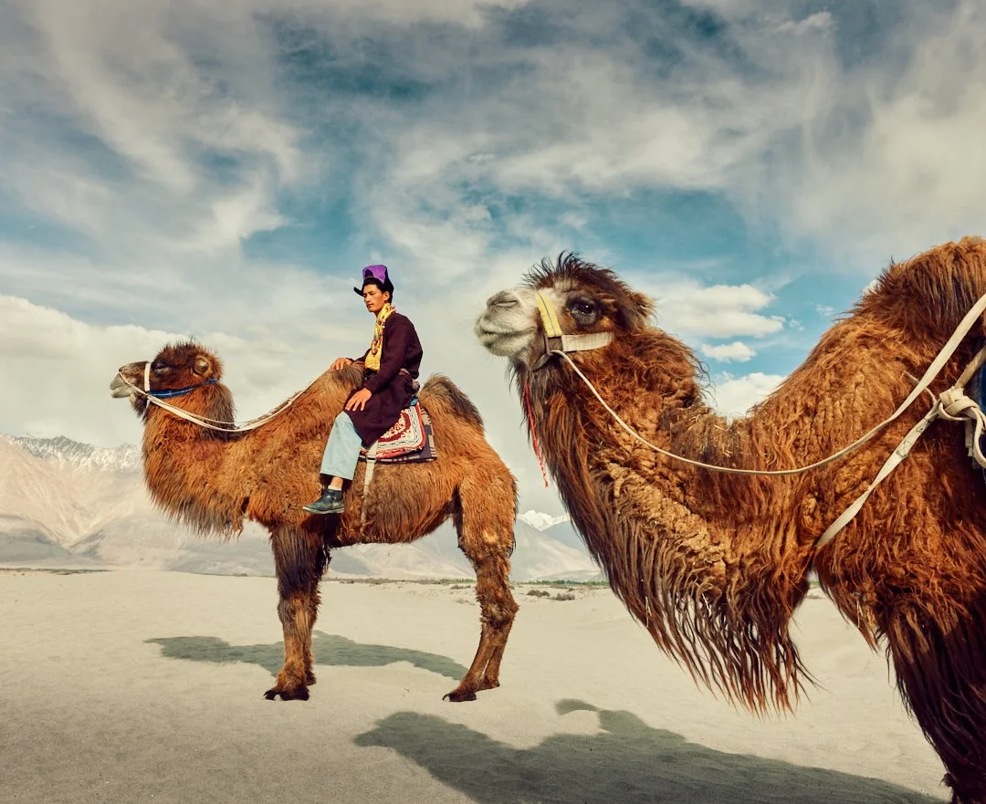 088A1012 nubra 2025 srgb 2.1.jpg