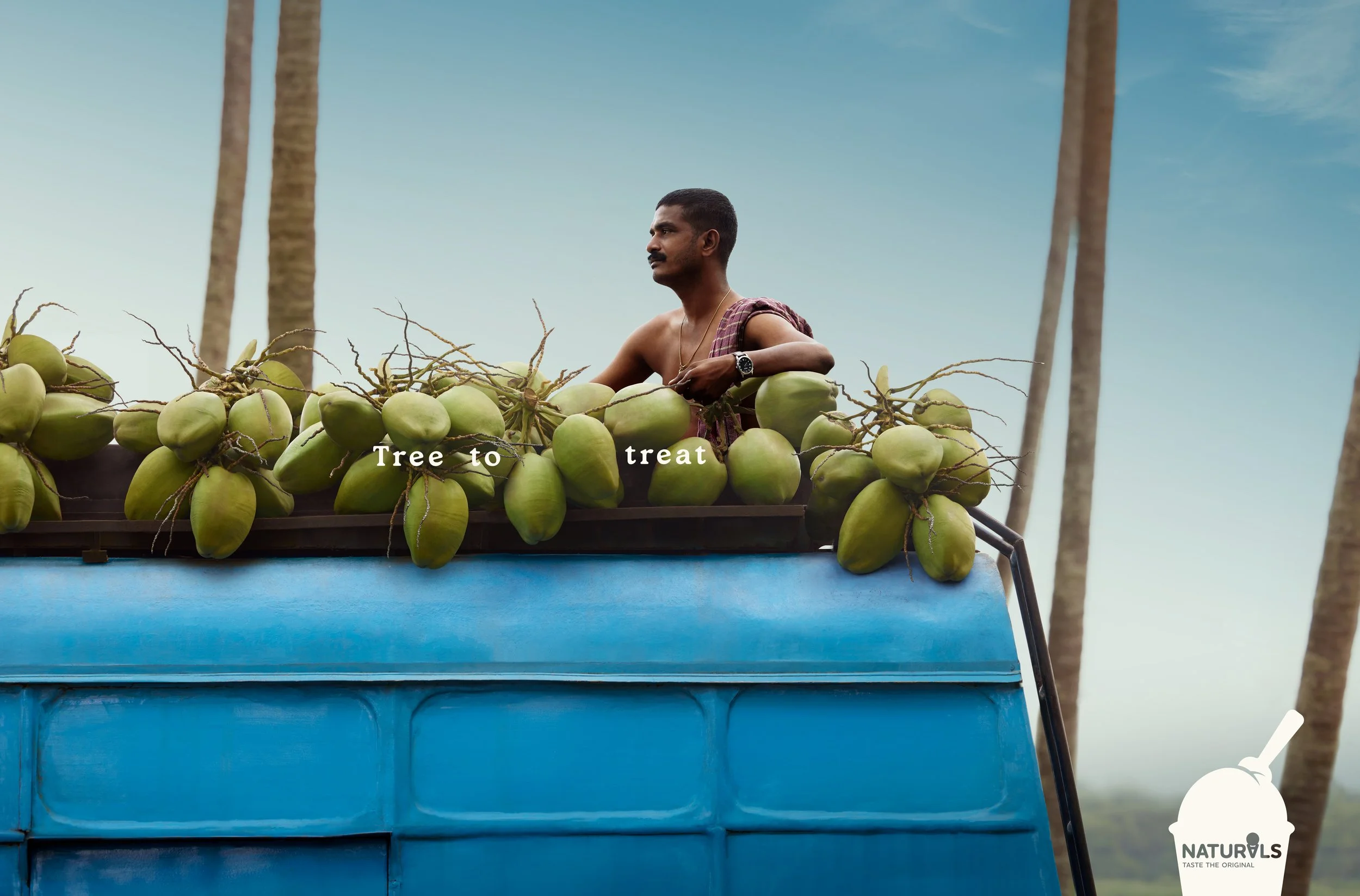 03 NATURAL COCONUT VAN.jpg