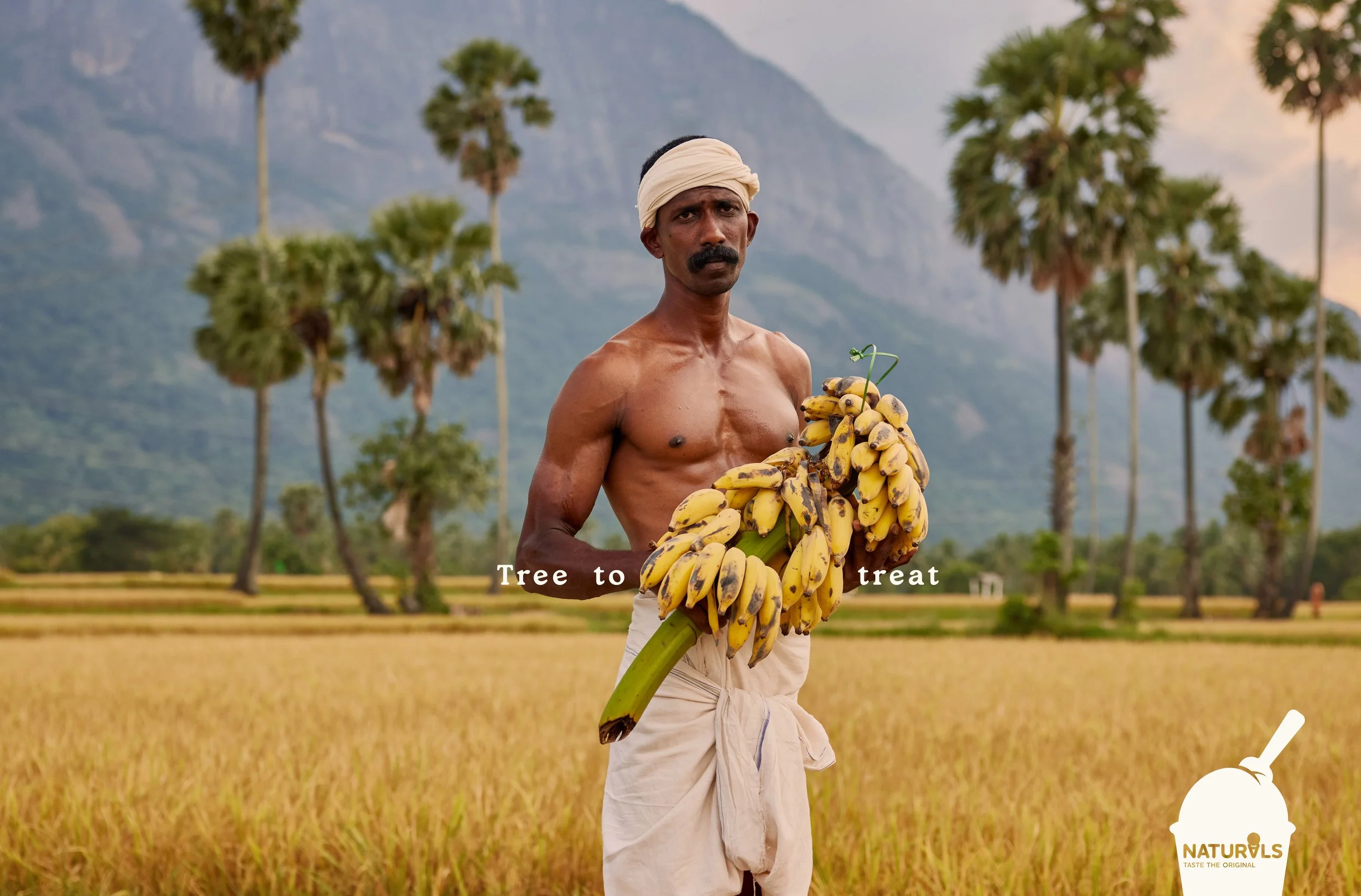 05 PRESS NATURAL BANANA .jpg