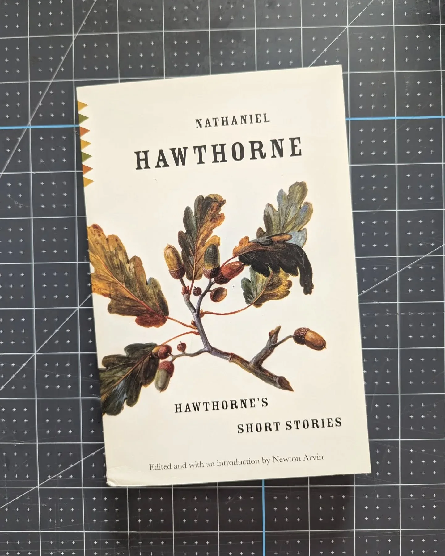 ENROLLMENT IS OPEN! Young Wanderers, a subscription box reading program for curious children, is now open for enrollment. Sign up your child for our 1-, 2-, or 3-year program. We'll continue to post a book a day until enrollment closes on Aug. 3rd.
.