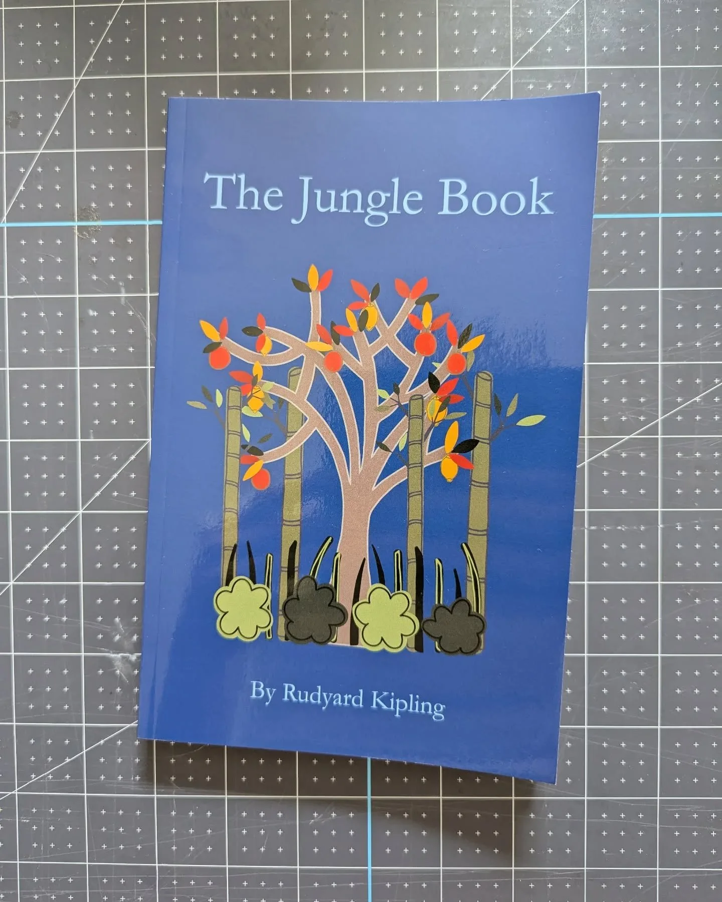 ENROLLMENT CLOSES TONIGHT! Young Wanderers, a subscription box reading program for curious children, is now open for enrollment. Sign up your child for our 1-, 2-, or 3-year program. We'll continue to post a book a day until enrollment closes on Aug.