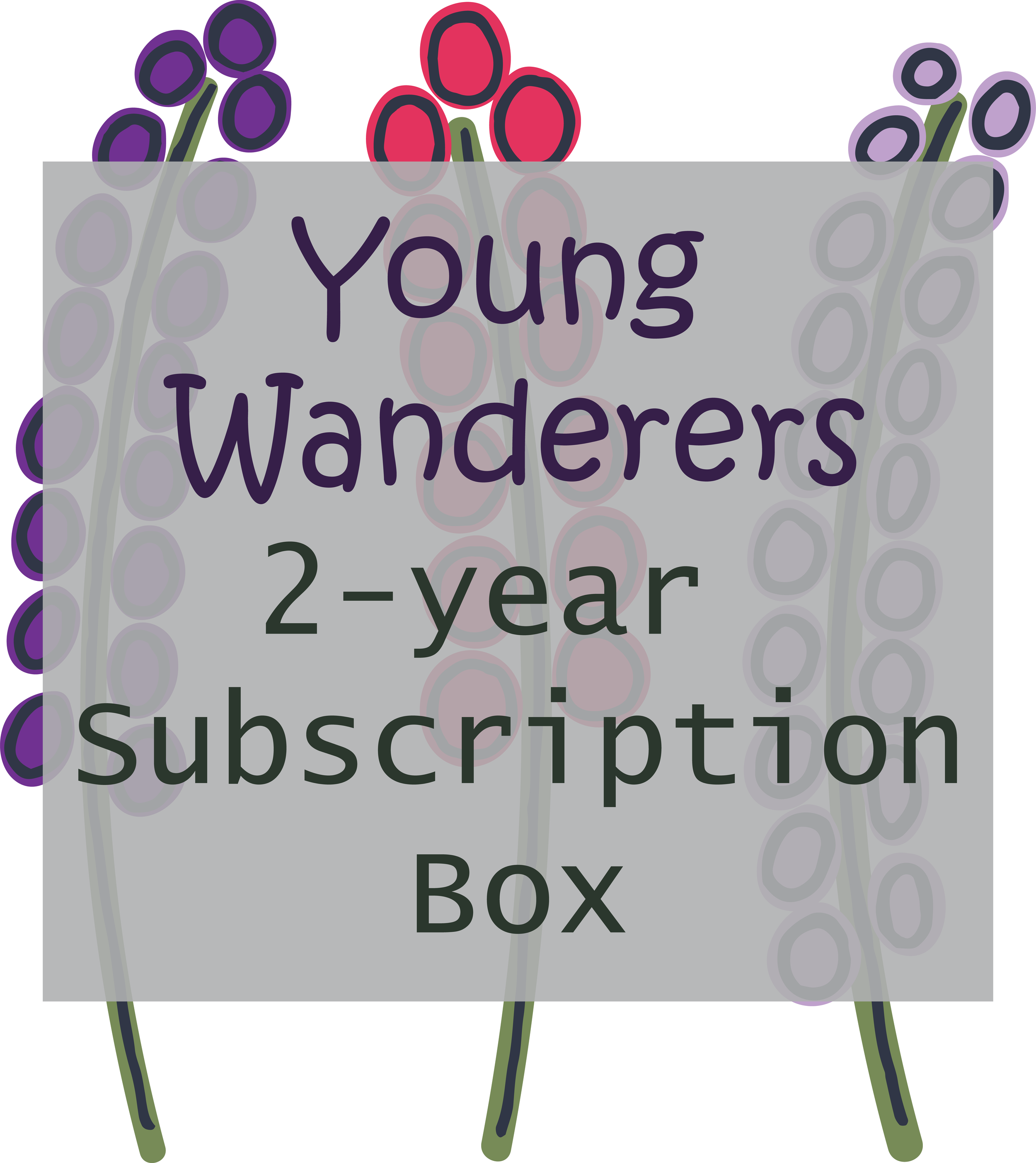 2-year-Subscription-box_cart-image.png