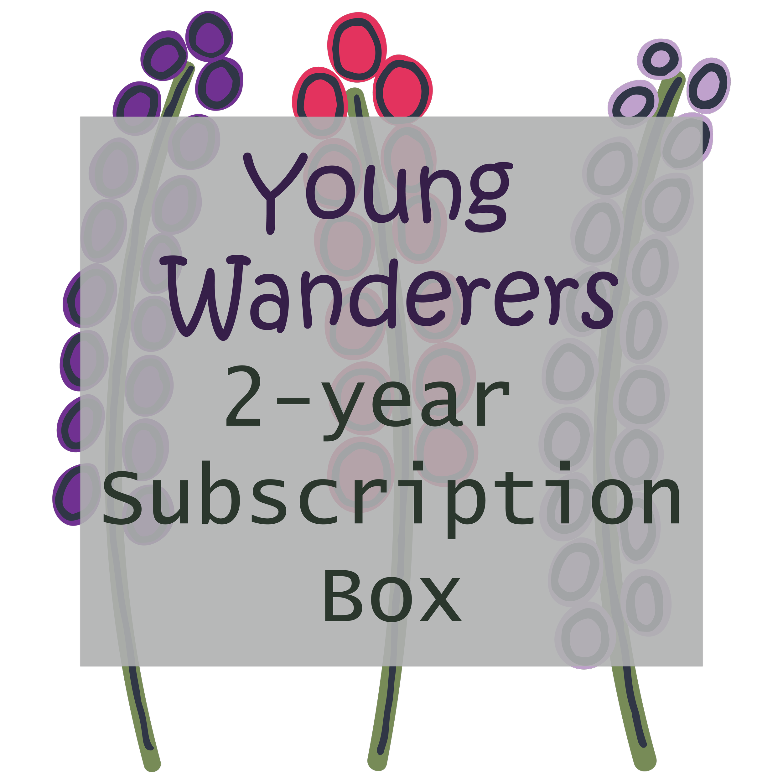 2-Year Young Wanderers Subscription Box