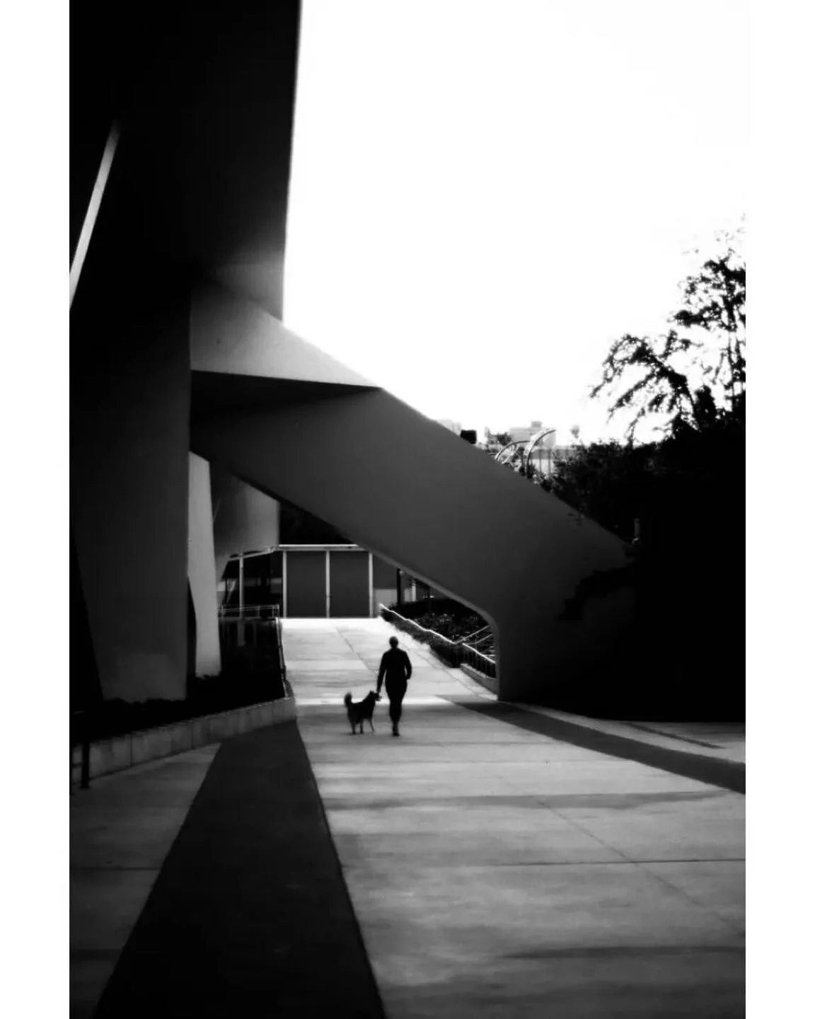 Repost from @kloenk 
&ldquo;Occupy space&rdquo;

#ferraniap30 #contax139q