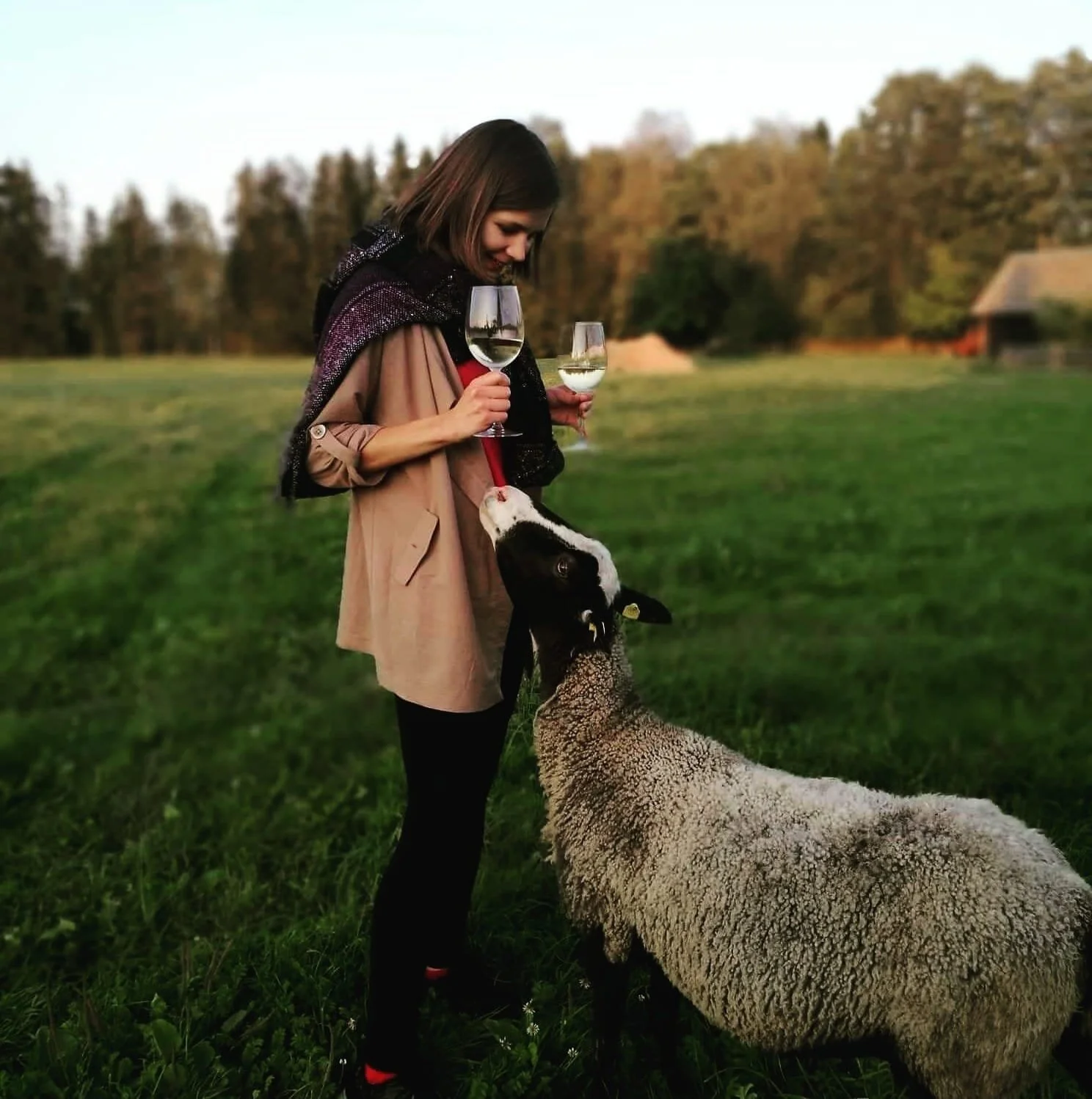 Māra Braslava, skrējēja