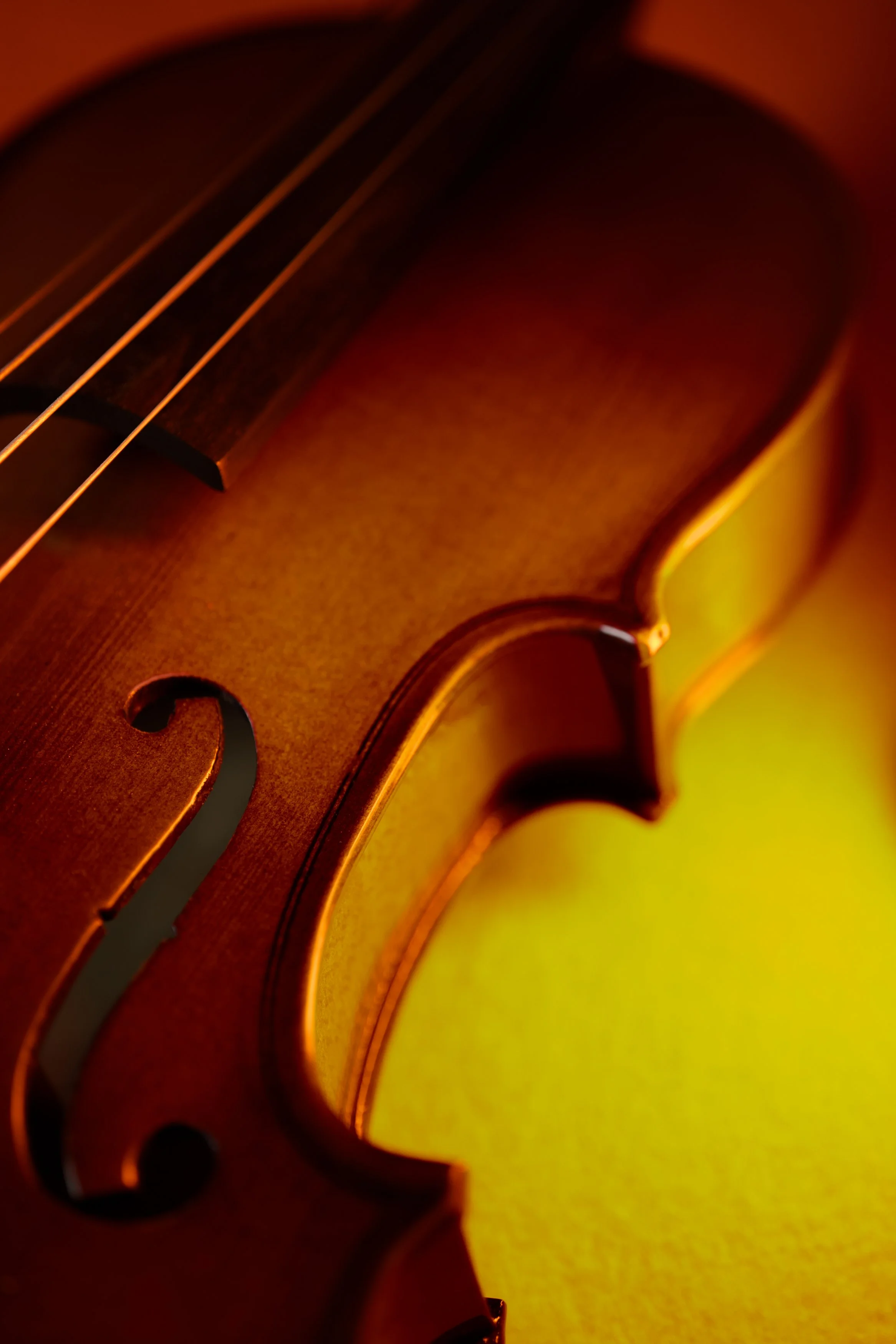 ORN3_MD-2_VIOLON.jpg