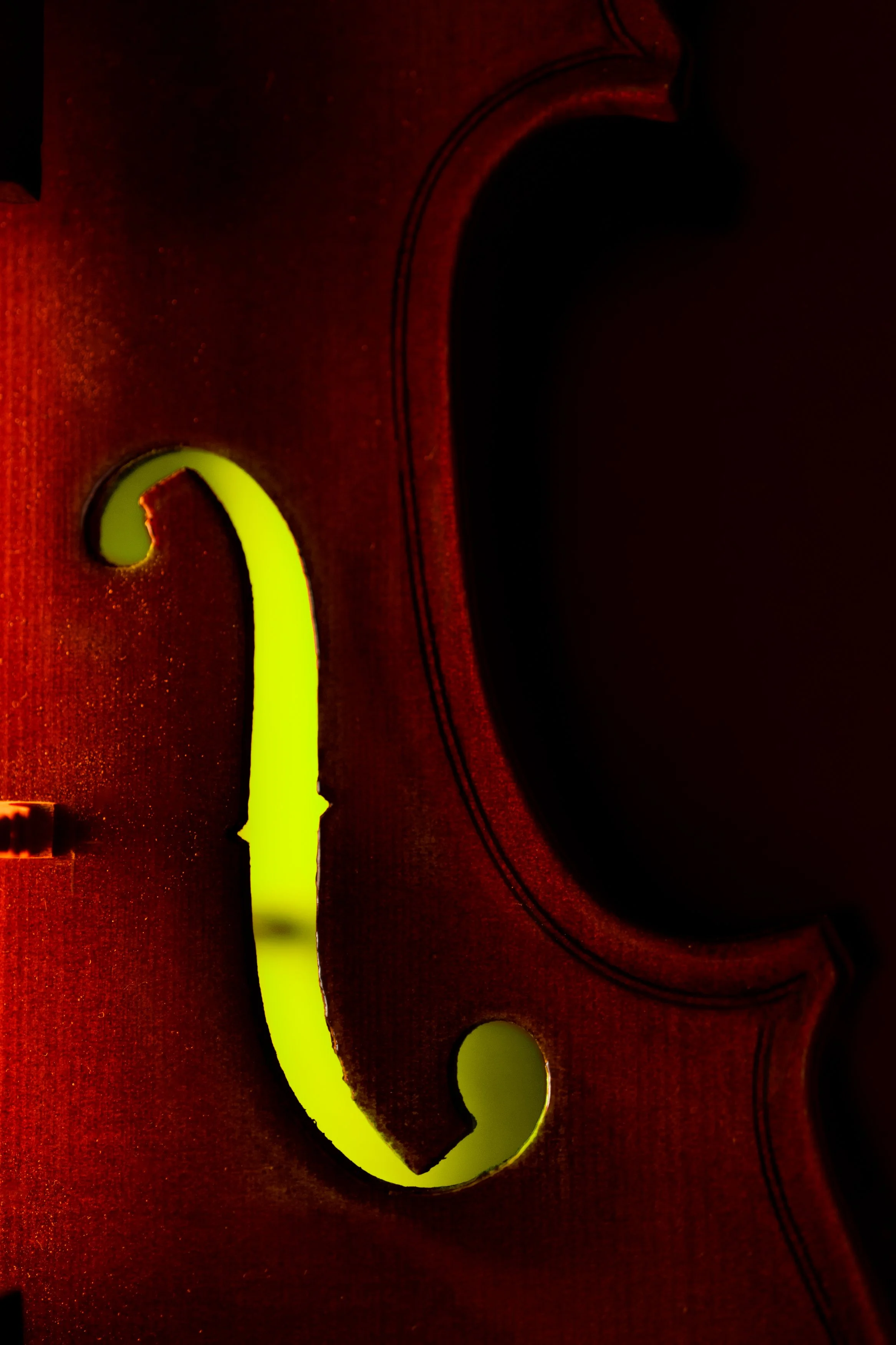 ORN3_MD-5_VIOLON.jpg