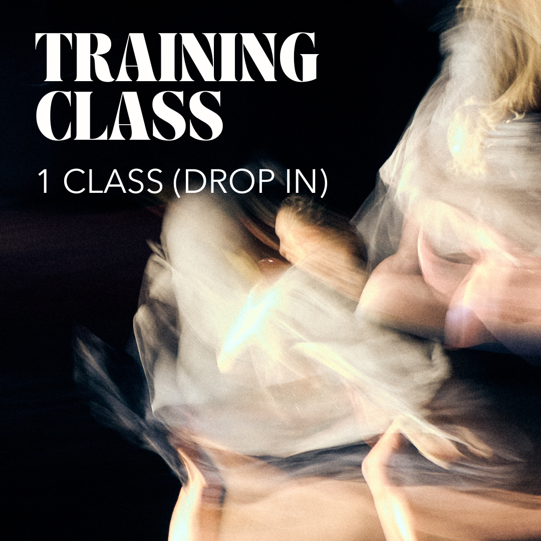 Training Class - 1 CLASS (drop-in)