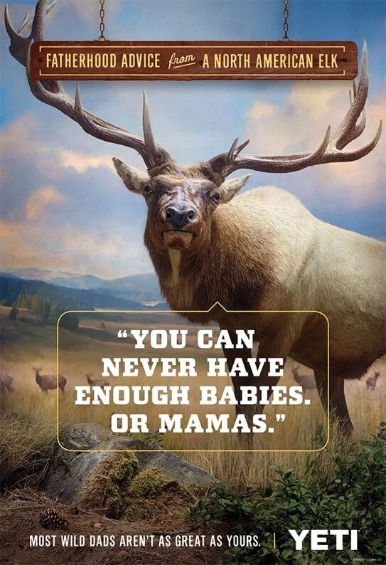 elk_website_543.jpg
