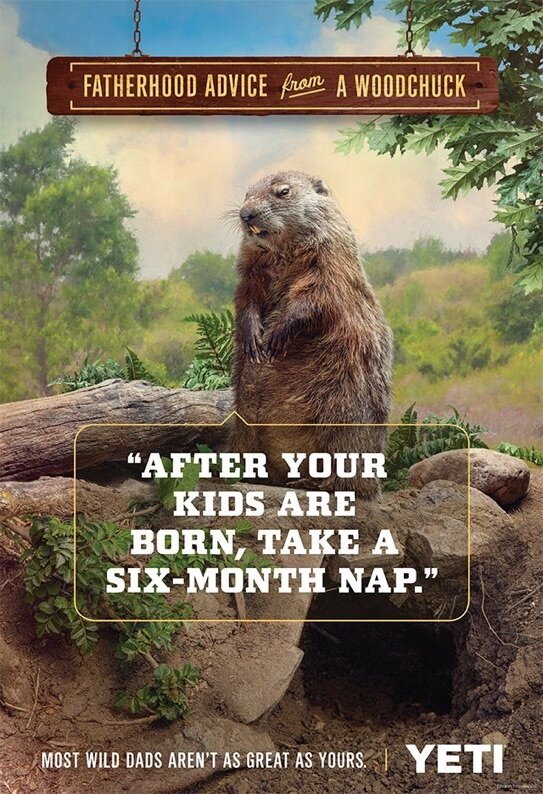 woodchuck_website_543.jpg