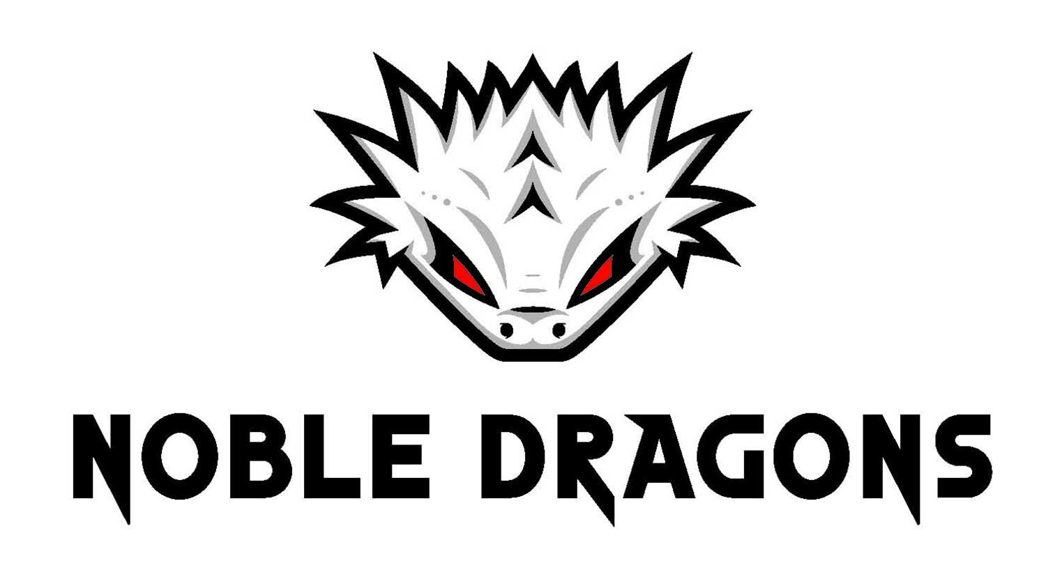 Deliverable Presentation Noble Dragons.jpg