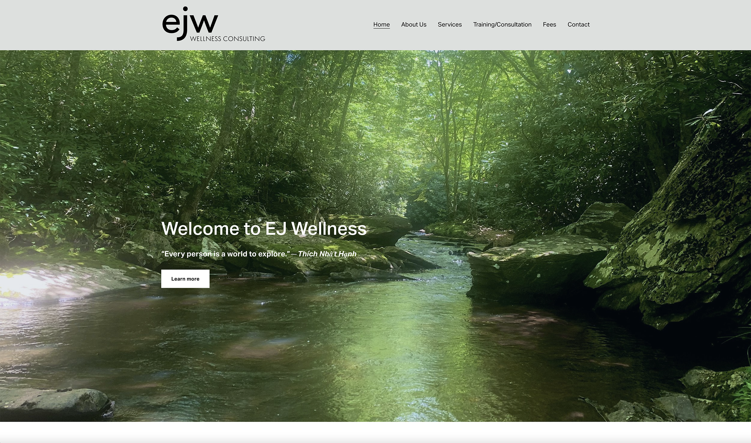 EJ Wellness website.png