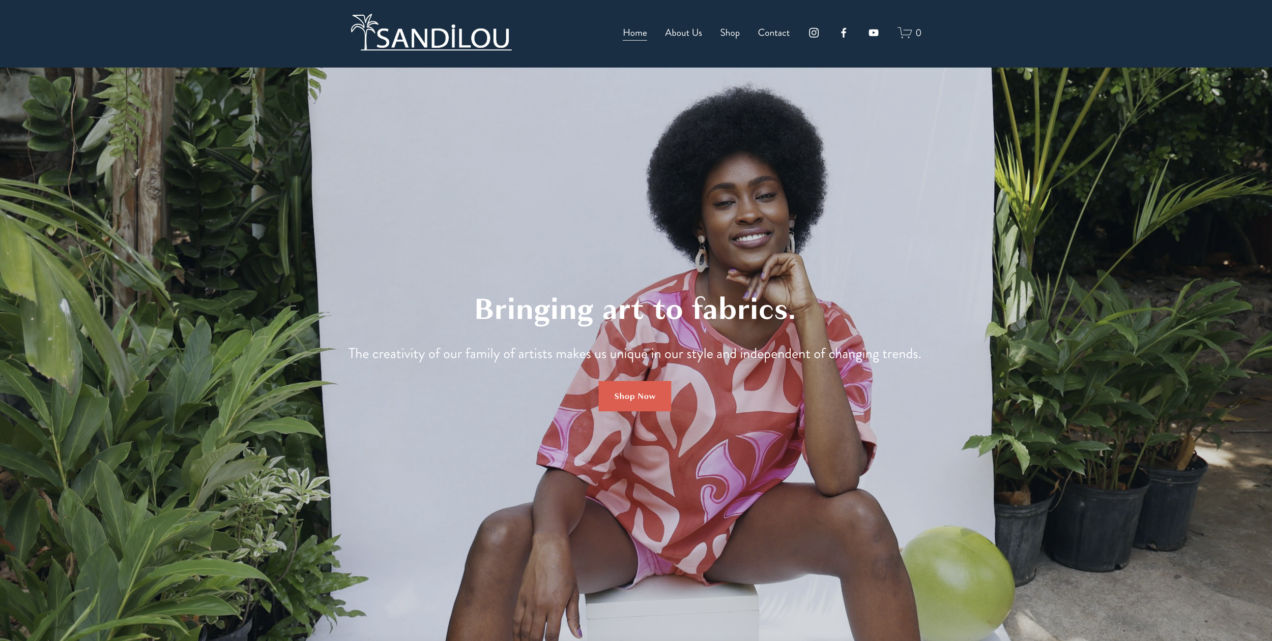 Sandilou homepagedesign.png