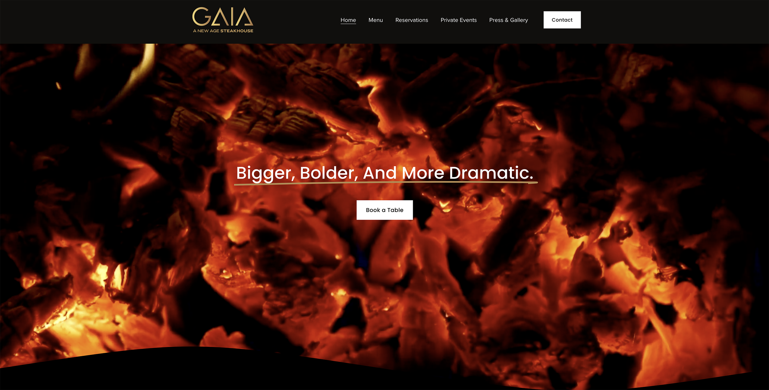 GAIA Homepage.png