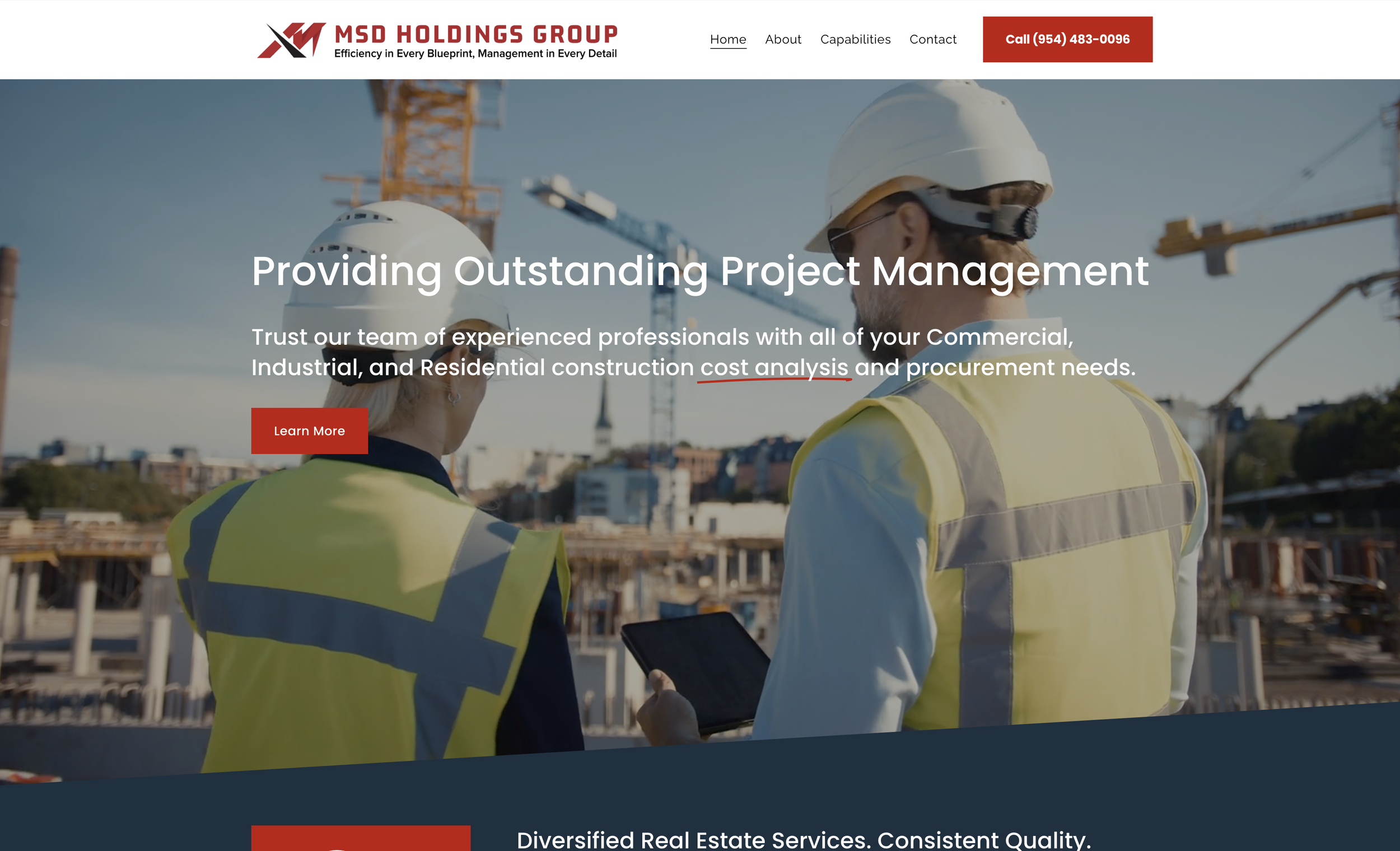 MSD Holdings homepage.png