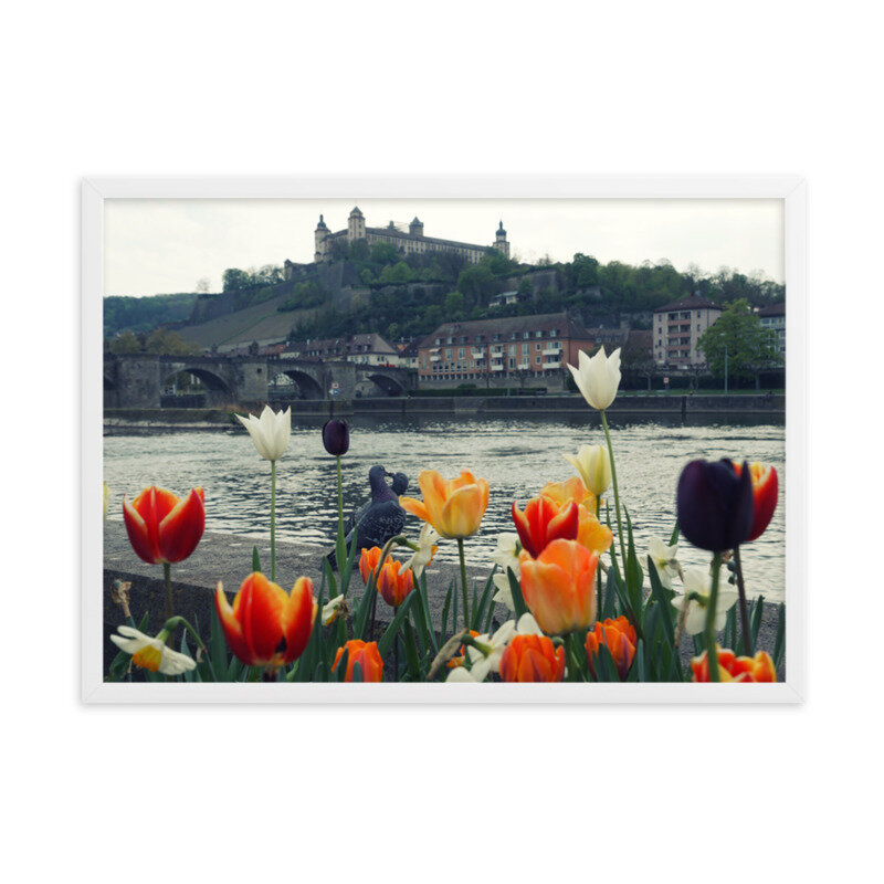 enhanced-matte-paper-framed-poster-(cm)-white-50x70-cm-5feb24a5ec0b0_Tauben.jpg