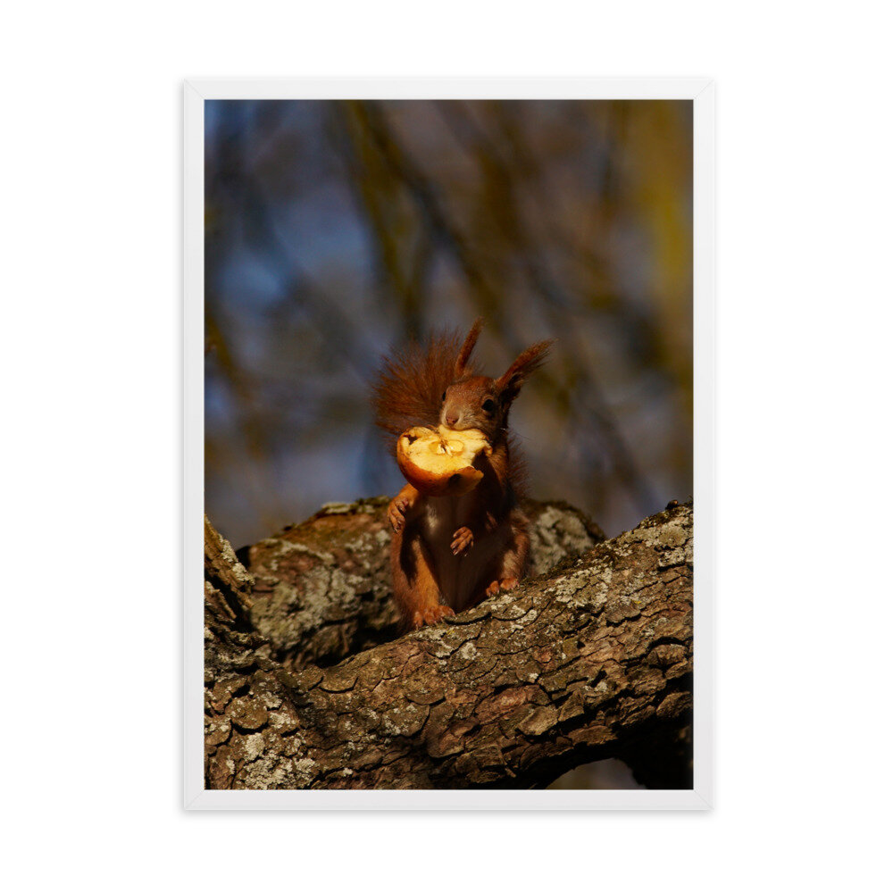enhanced-matte-paper-framed-poster-(cm)-white-50x70-cm-transparent-604a1c5a04b45.jpg