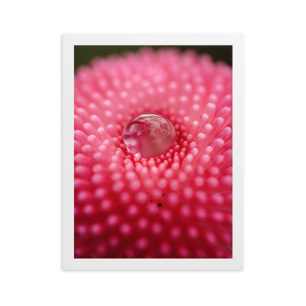 enhanced-matte-paper-framed-poster-(cm)-white-30x40-cm-transparent-604a1ce6267ba.jpg