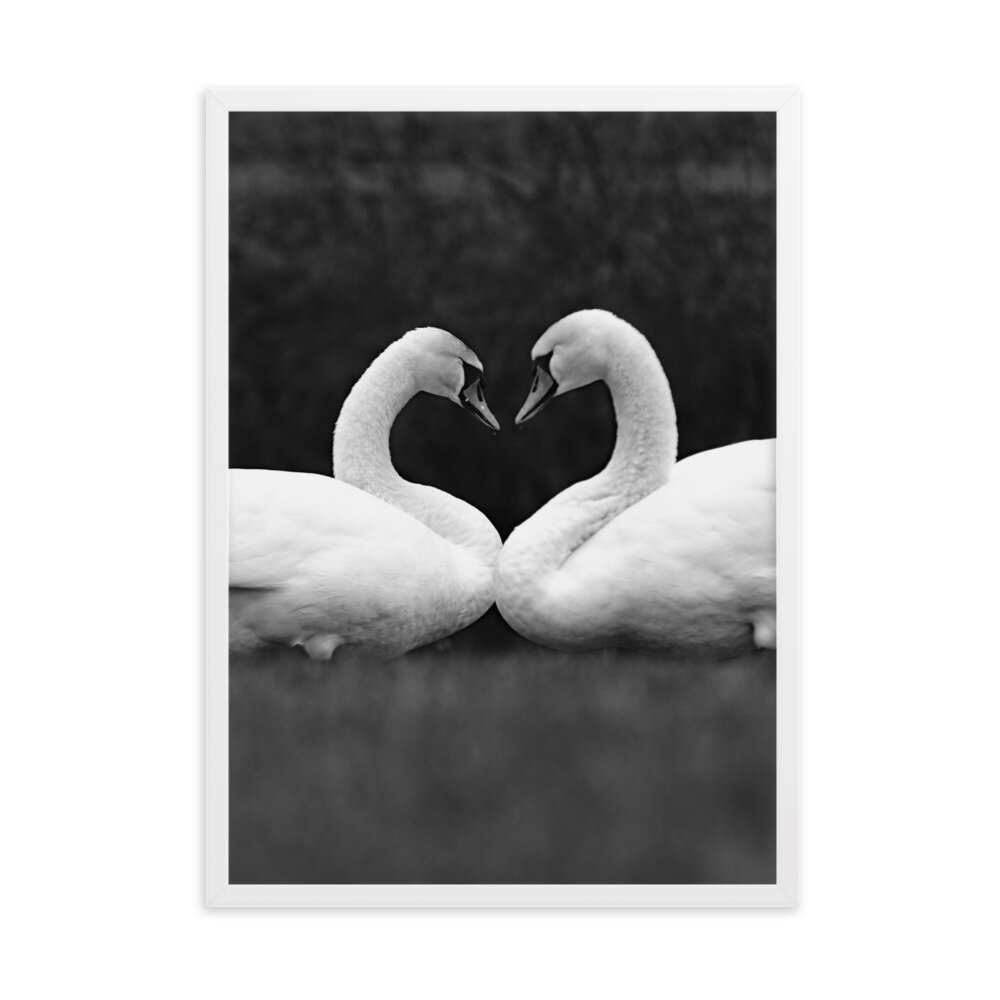 enhanced-matte-paper-framed-poster-(cm)-white-50x70-cm-transparent-6050b5c4d0406.jpg