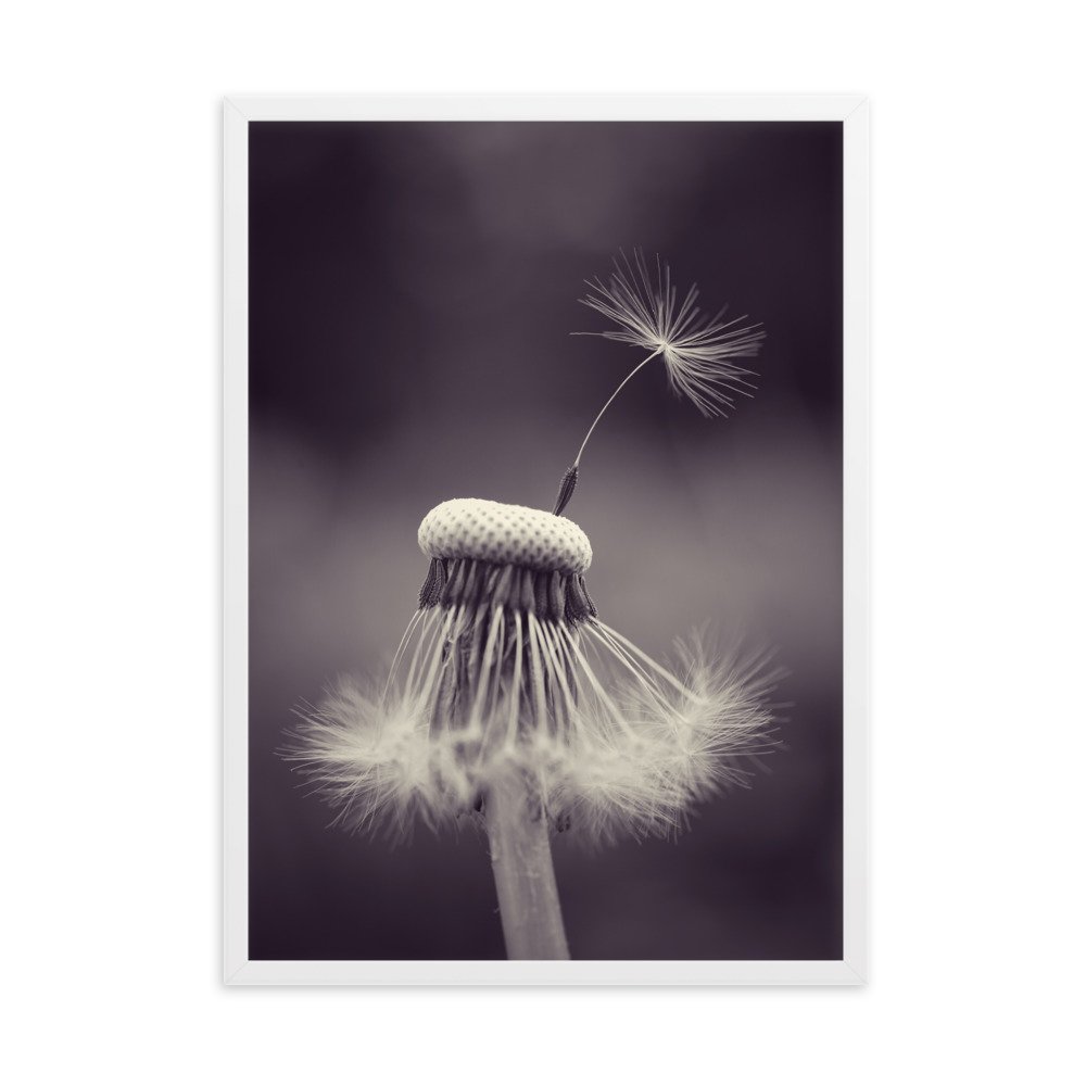 enhanced-matte-paper-framed-poster-(cm)-white-50x70-cm-transparent-619e6f1fd5503.jpg