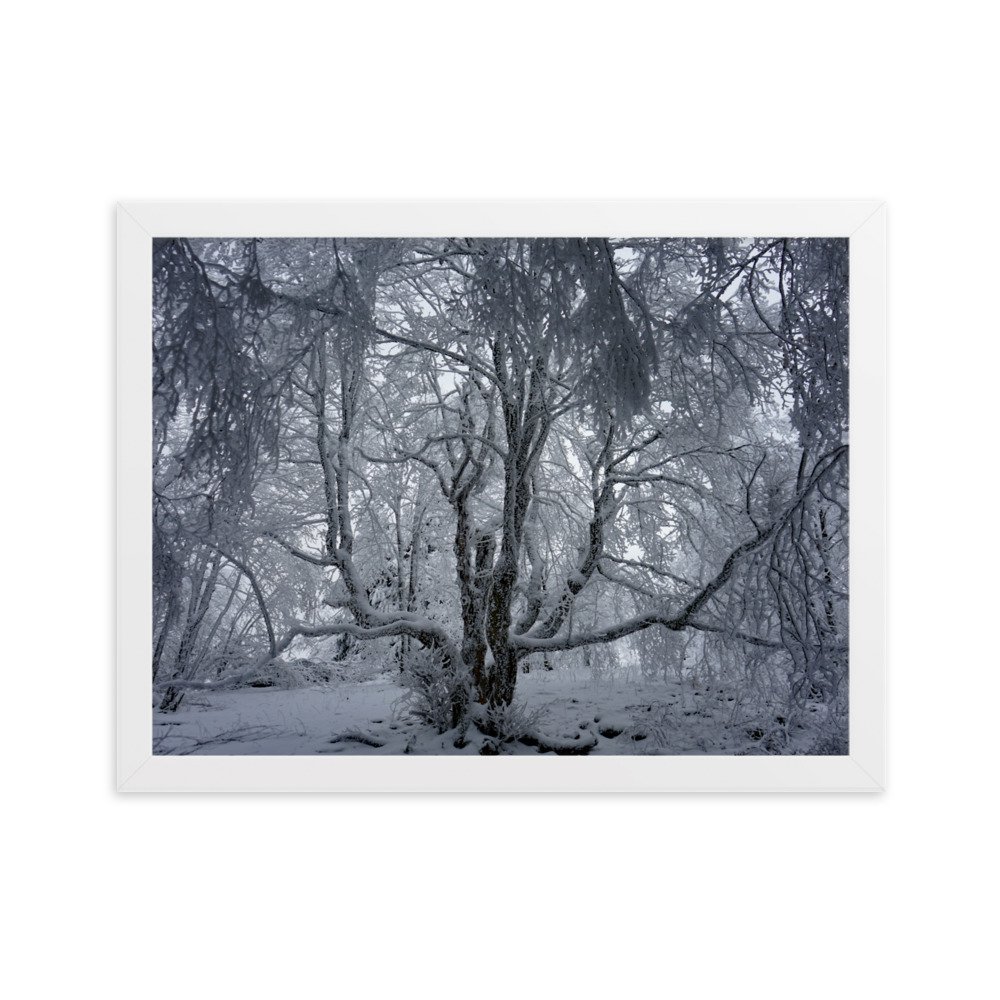 enhanced-matte-paper-framed-poster-(cm)-white-30x40-cm-transparent-63aae8980e40d.jpg
