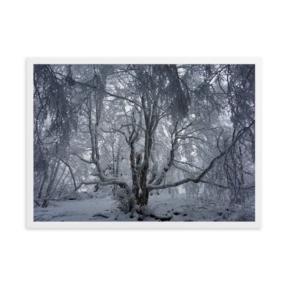 enhanced-matte-paper-framed-poster-(cm)-white-50x70-cm-transparent-63aae8980e4b5.jpg
