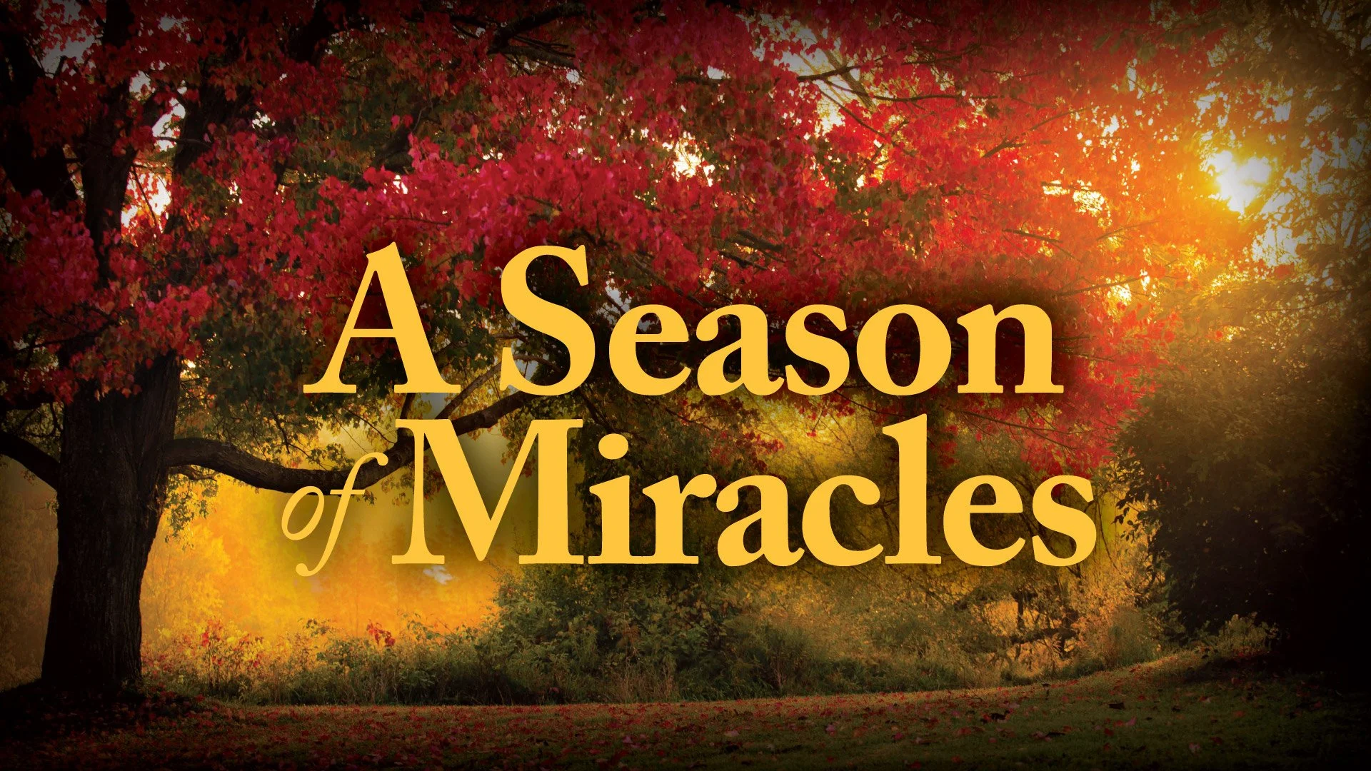 The Season of Small Miracles: What December Teaches Us About Caring for Our Seniors