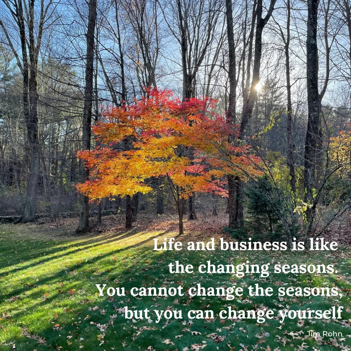 "Life and business is like the changing seasons.  You cannot change the seasons, but you can change yourself."