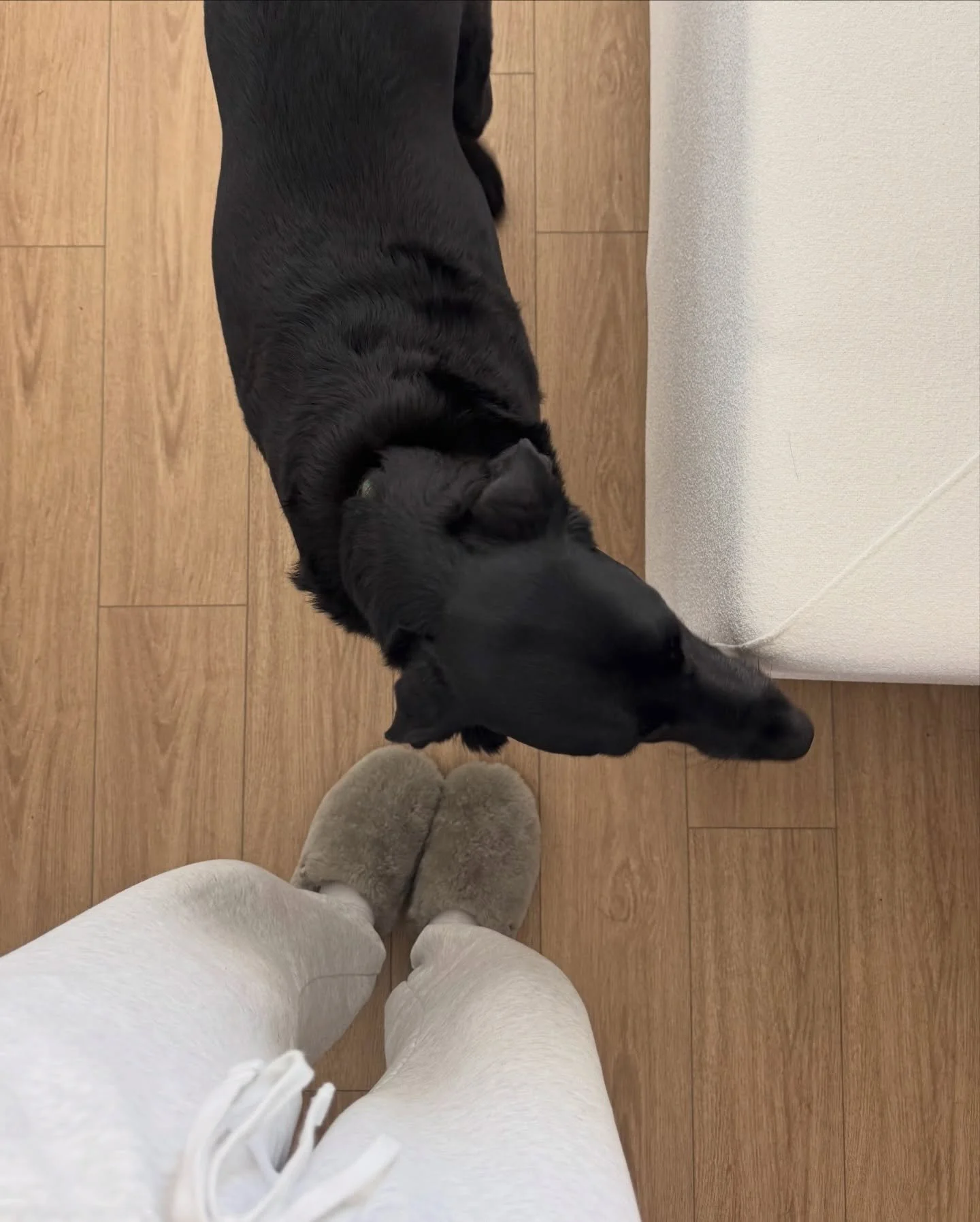 A cozy November 🧸