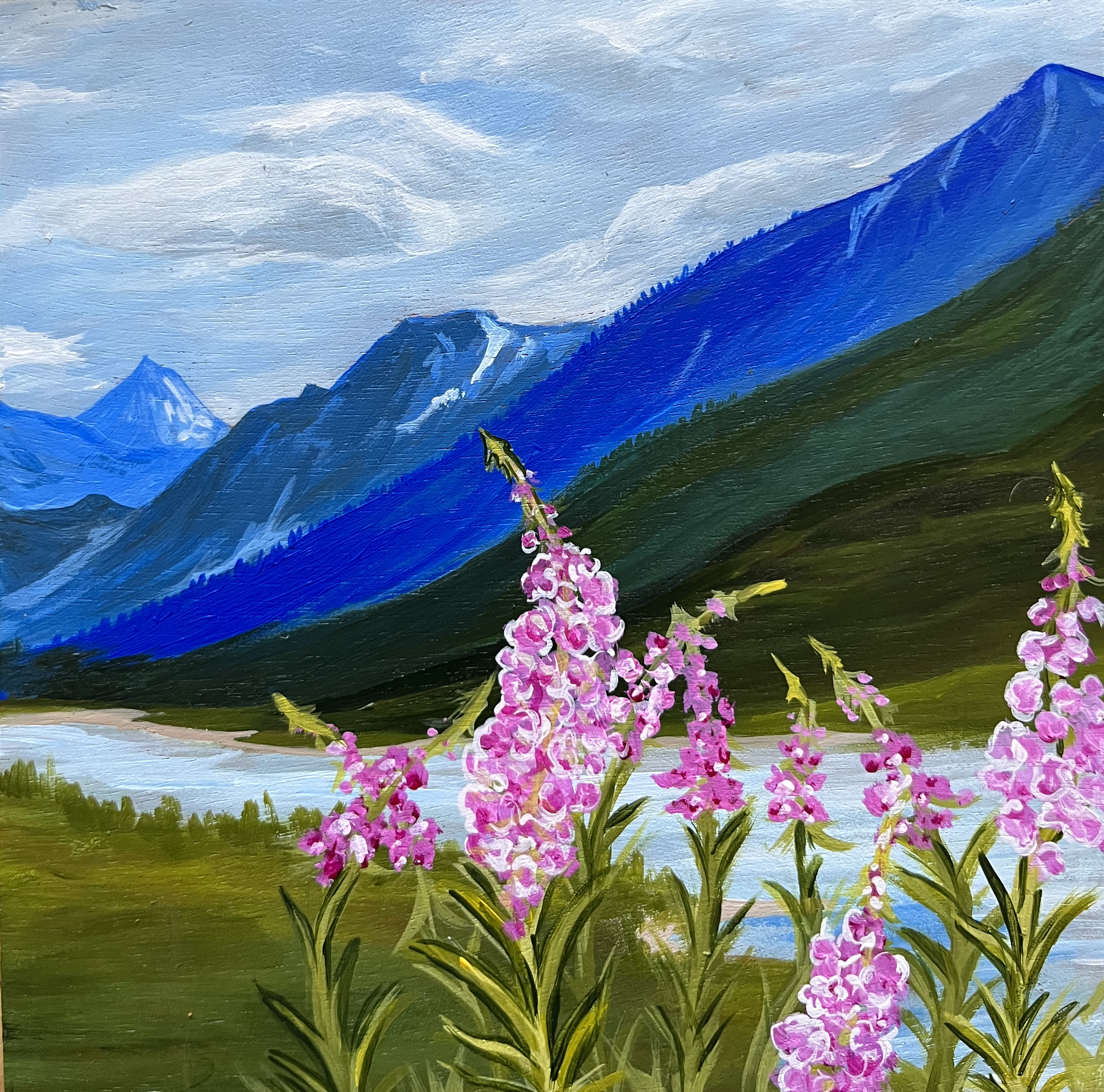midsummerfireweed.png